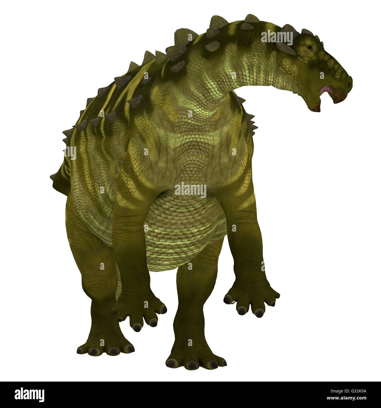 Talarurus était un dinosaure herbivore armored qui vivait dans la période du Crétacé de la Mongolie. Banque D'Images