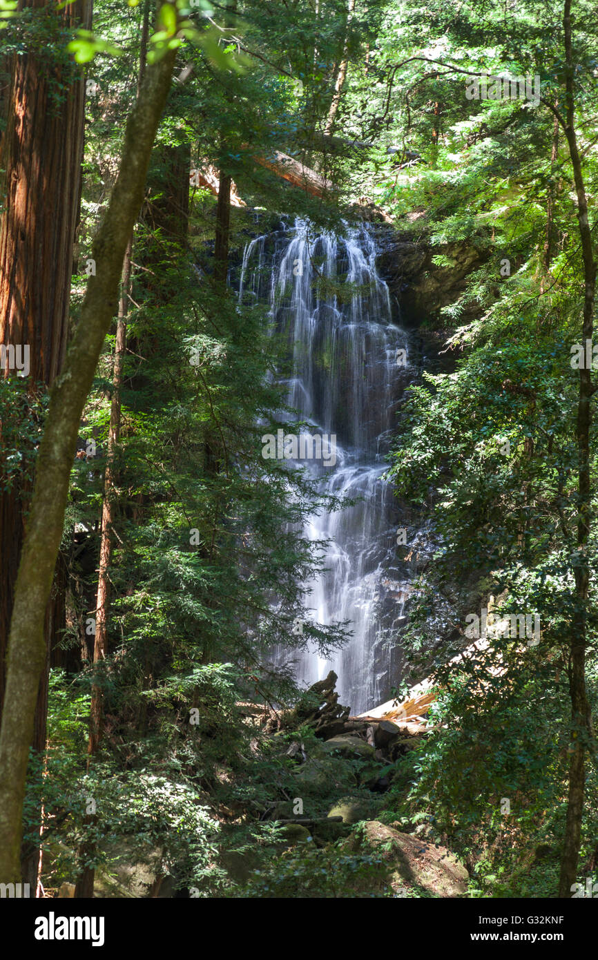 Berry Creek Falls situé dans le parc d'état du bassin des Grands Banque D'Images