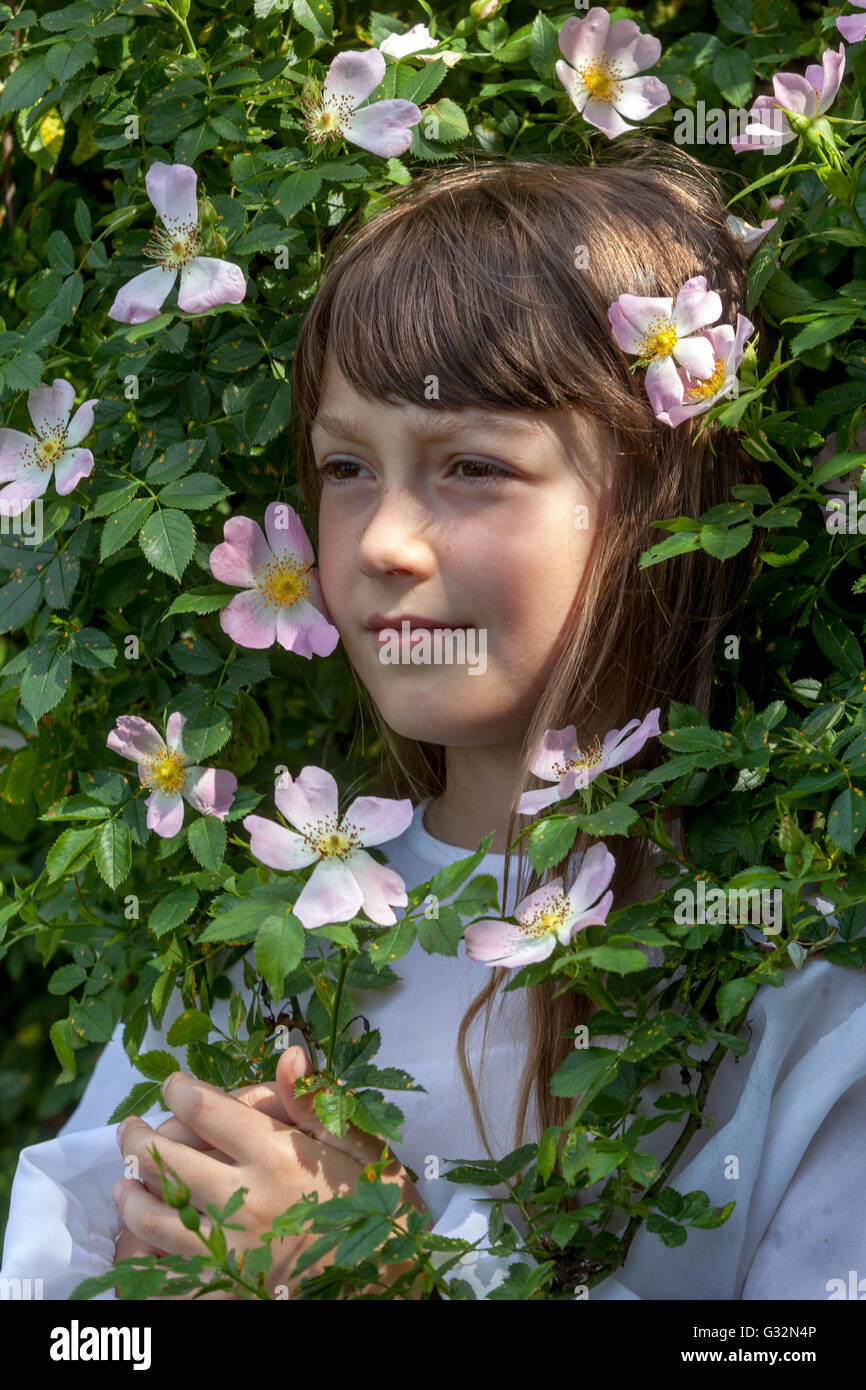 Âge de l'innocence, fille de 7 ans dans des arbustes fleuris de rose sauvage Banque D'Images