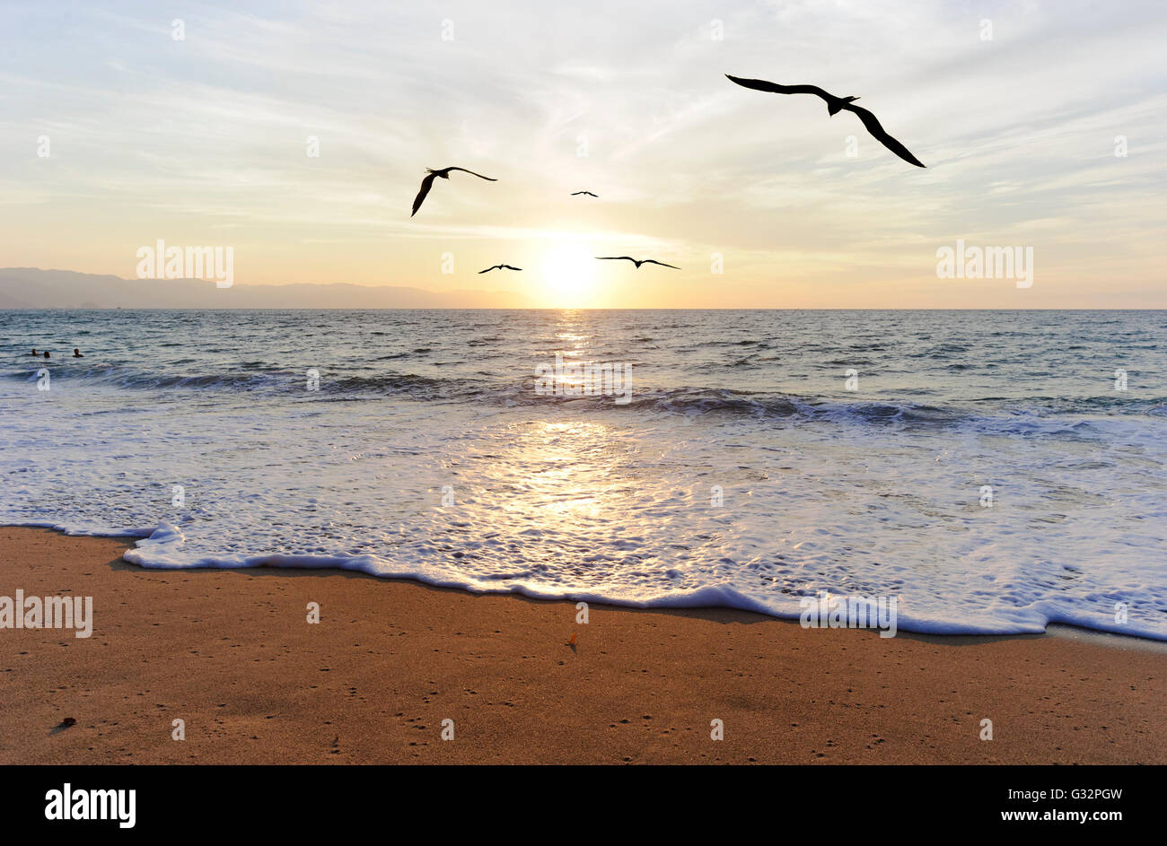 Silhouettes d'oiseaux est de cinq oiseaux volant vers l'horizon de l'océan paisible et bien lumineux. Banque D'Images