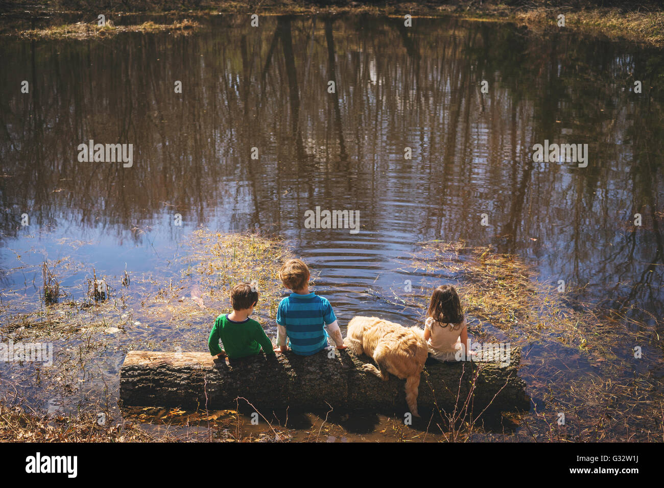Trois enfants et un chiot Golden Retriever dog sitting on log by lake Banque D'Images