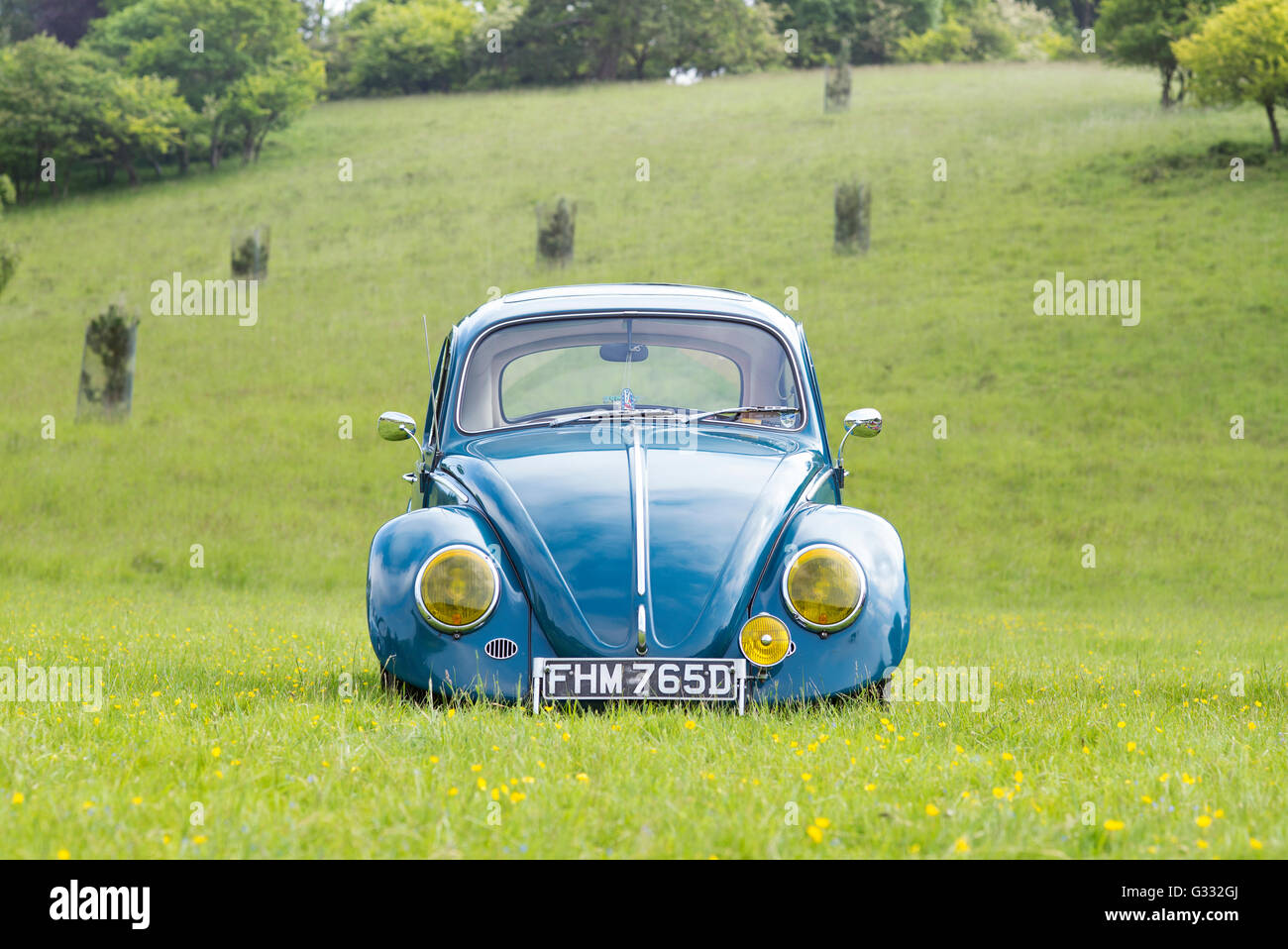 1966 VW Coccinelle voiture sur un VW Show. Oxfordshire, Angleterre Banque D'Images