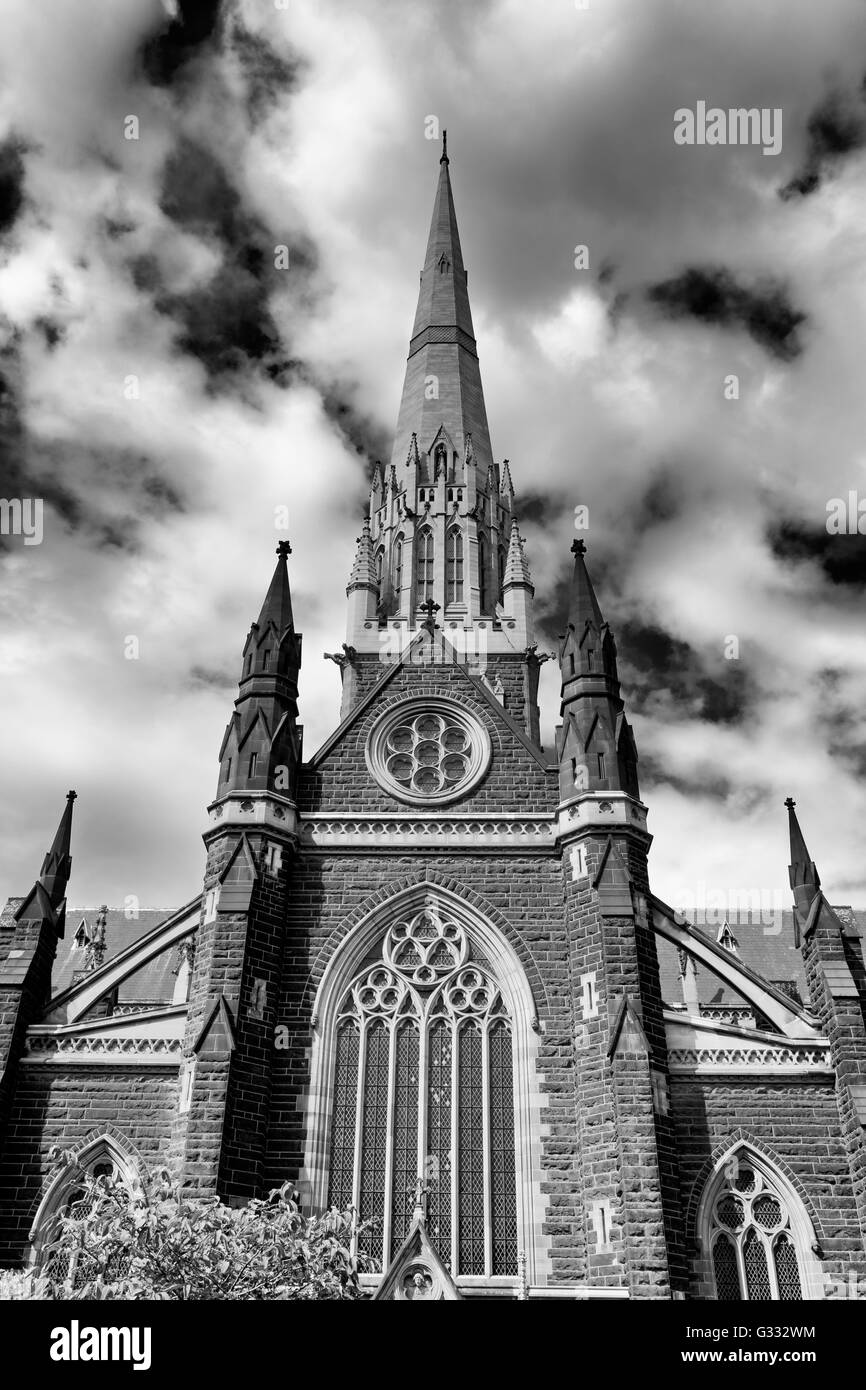 La Cathédrale St Patrick, Melbourne, Victoria, Australie Banque D'Images