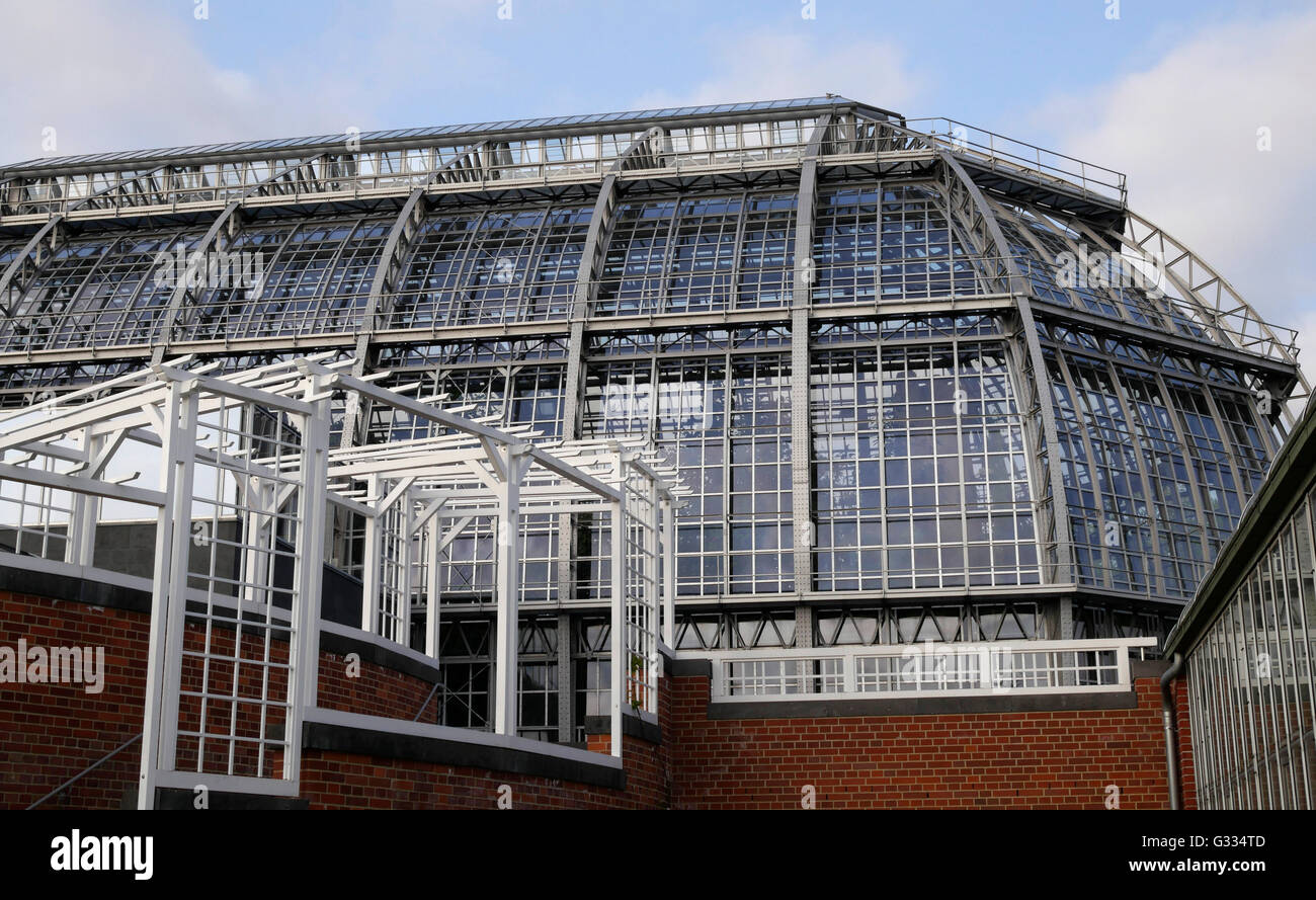 Dans les serres du Jardin Botanique et Jardin botanique de Berlin-Dahlem Museum, Berlin, Allemagne, UNION EUROPÉENNE Banque D'Images