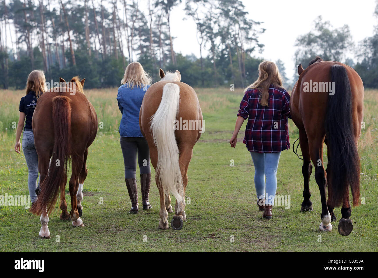 Brieselang, Allemagne, fille marcher ensemble avec leurs chevaux Banque D'Images