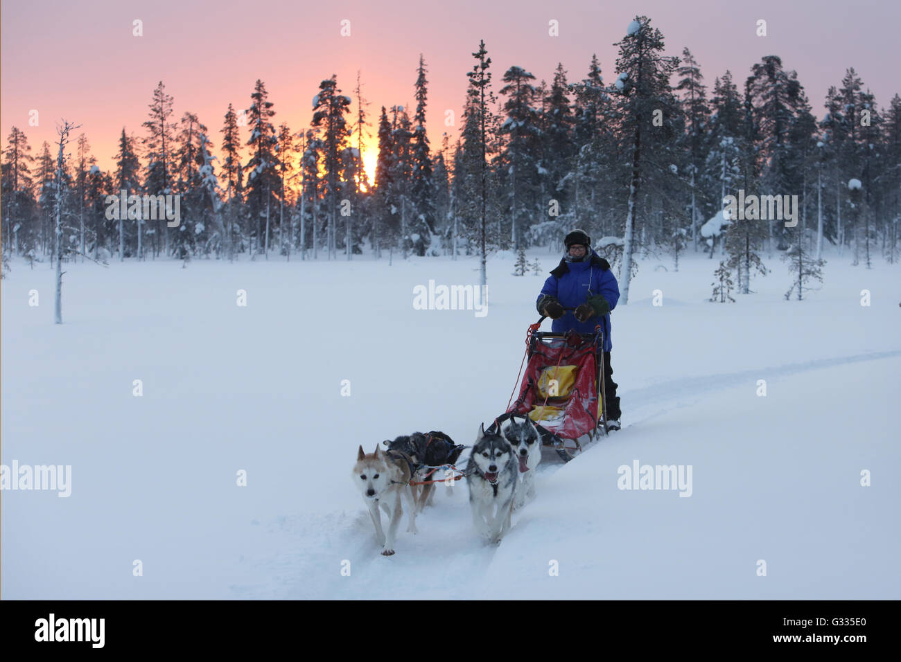 ?K skero, Finlande, femme faisant un tour sur un traîneau à chiens Banque D'Images
