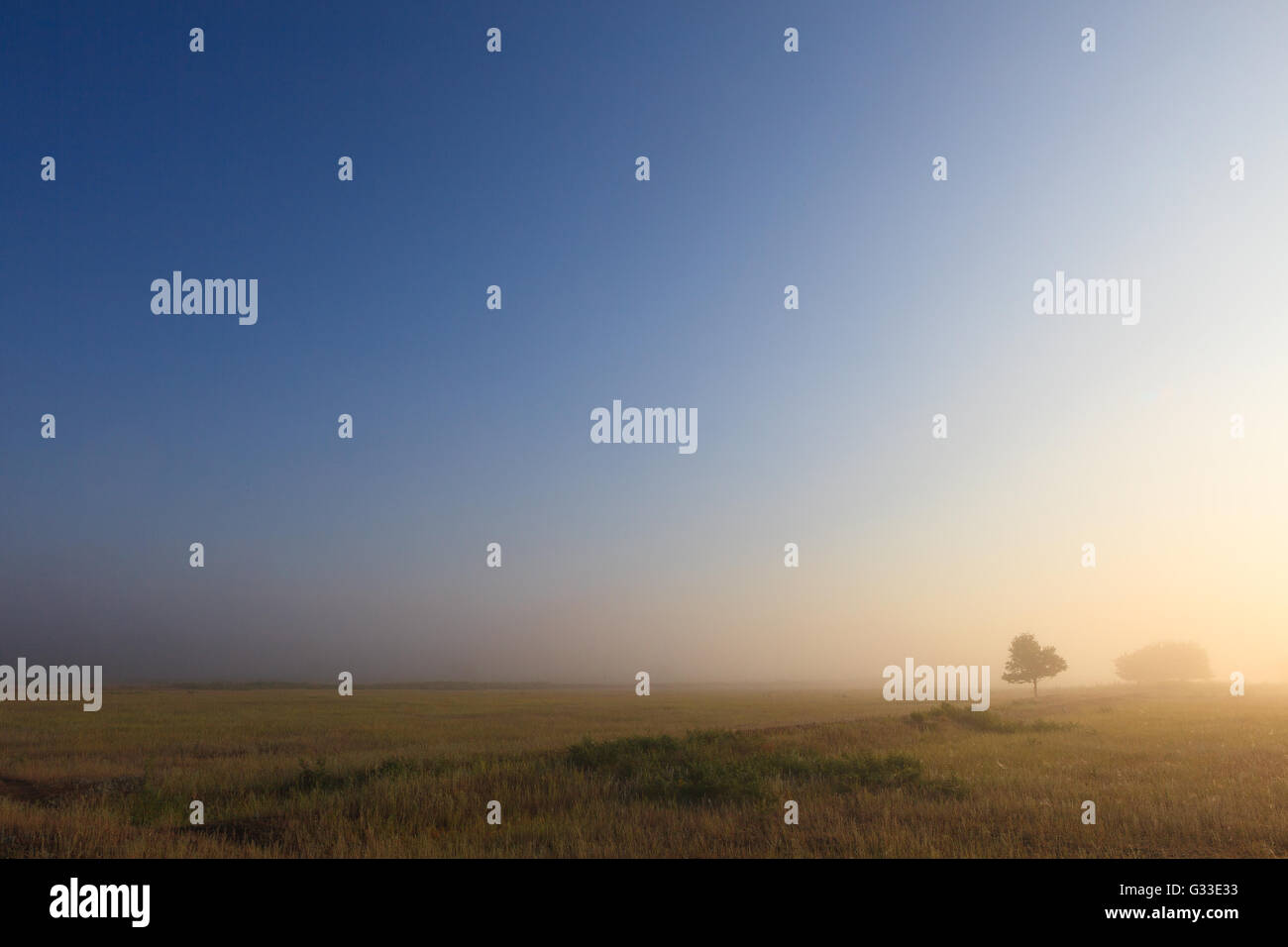 Misty début matin nature paysage de prairie en vue campagne russe. Volga mystérieux domaine rural dans le brouillard avec Banque D'Images