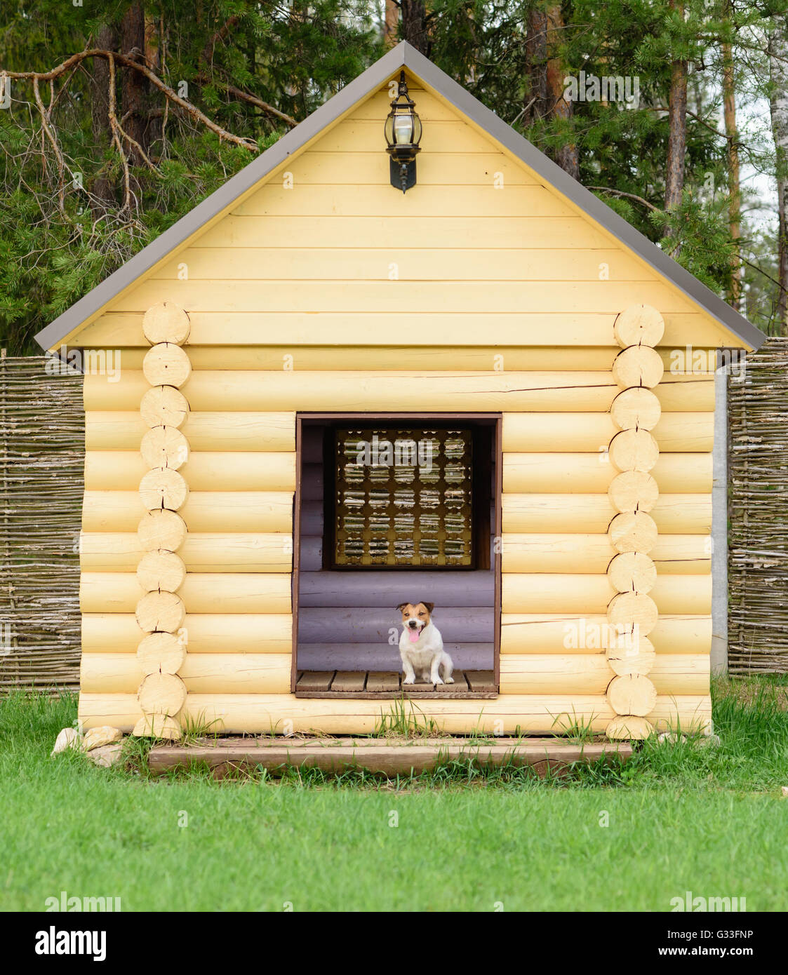 Pet dog sitting at big doghouse à cour arrière Banque D'Images