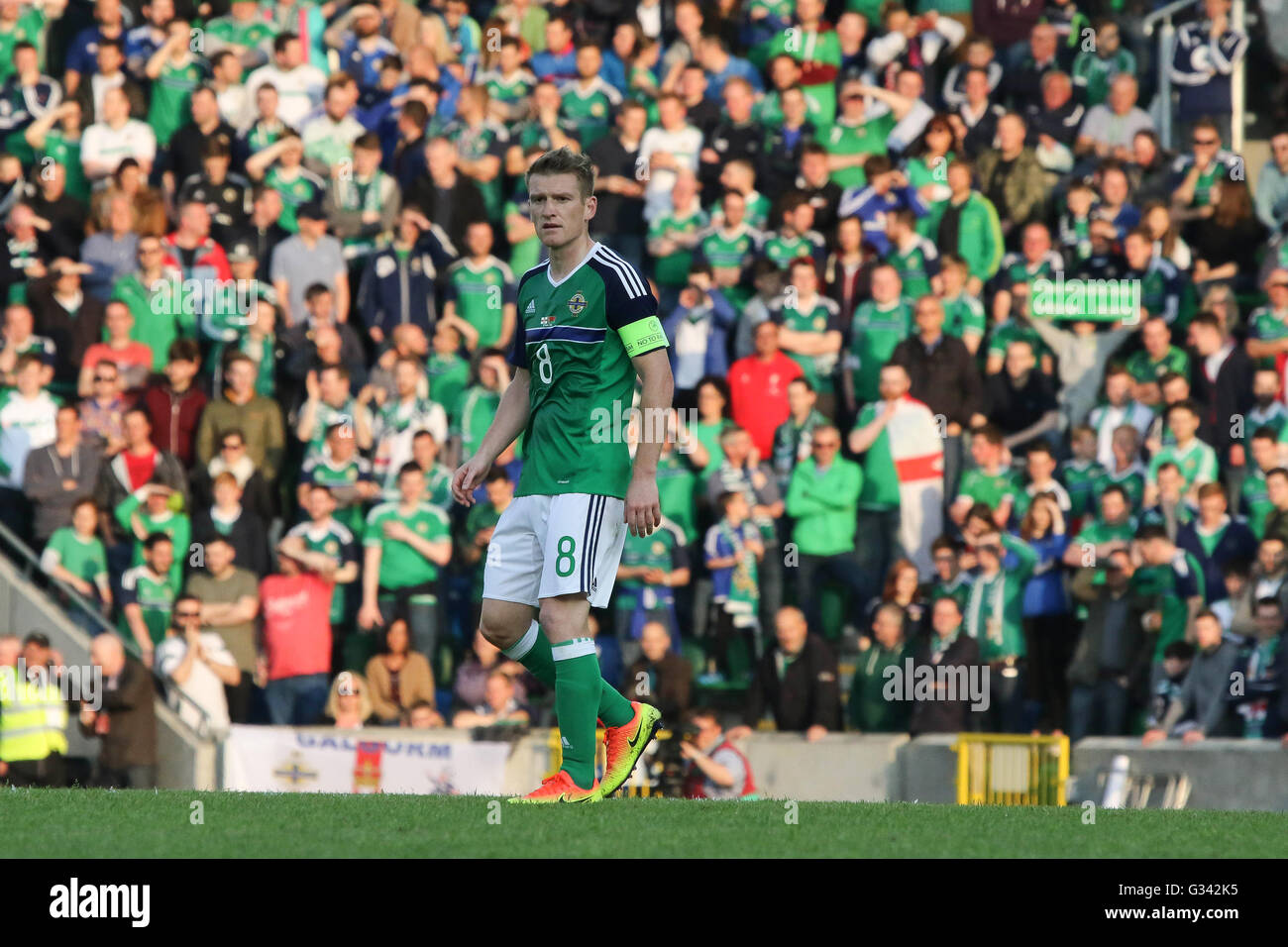 27 mai 2016 - Vauxhall Défi International (Friendly). L'Irlande du Nord 3 Belarus 0. L'Irlande du Nord le capitaine Steven Davis (8) en action. Banque D'Images