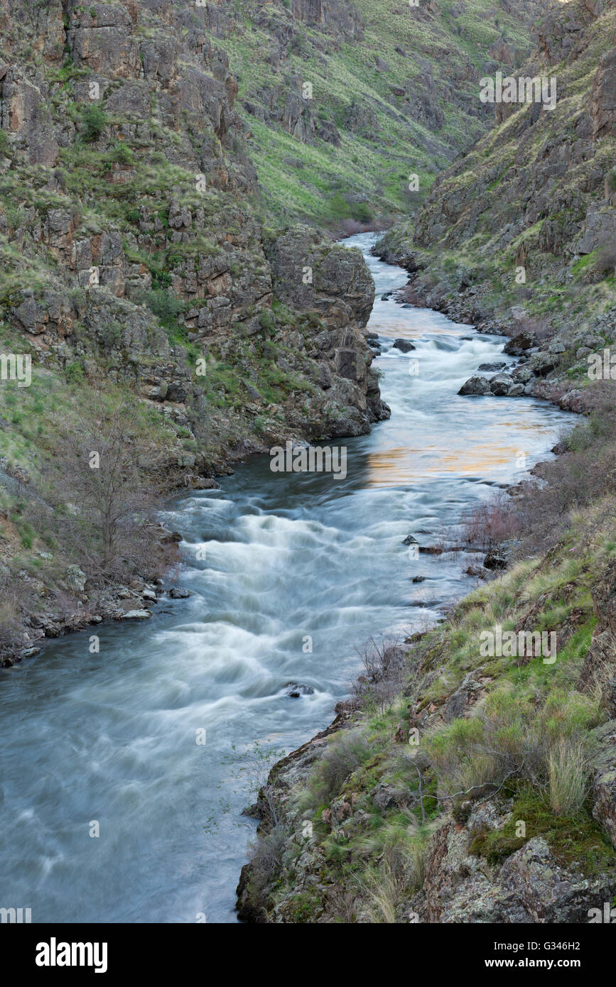 Imnaha River dans la région de Hells Canyon, de l'Oregon. Banque D'Images