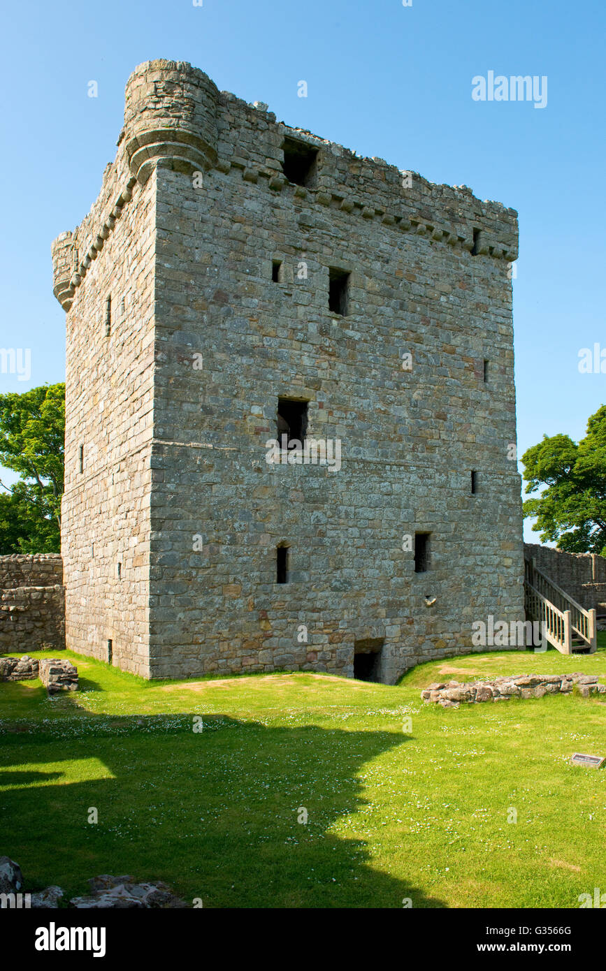 Donjon et cour principale. Le château de Loch Leven historique près de Kinross, Scotland. Banque D'Images