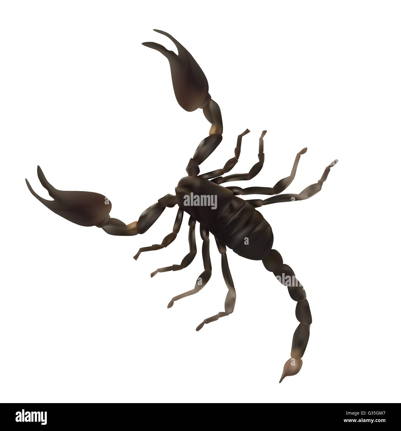 Figurine De Scorpion Réaliste En Plastique – Modèle Simulation 9x6x5 Cm, Noir Et Rouge, Déco Maison Ou Diorama