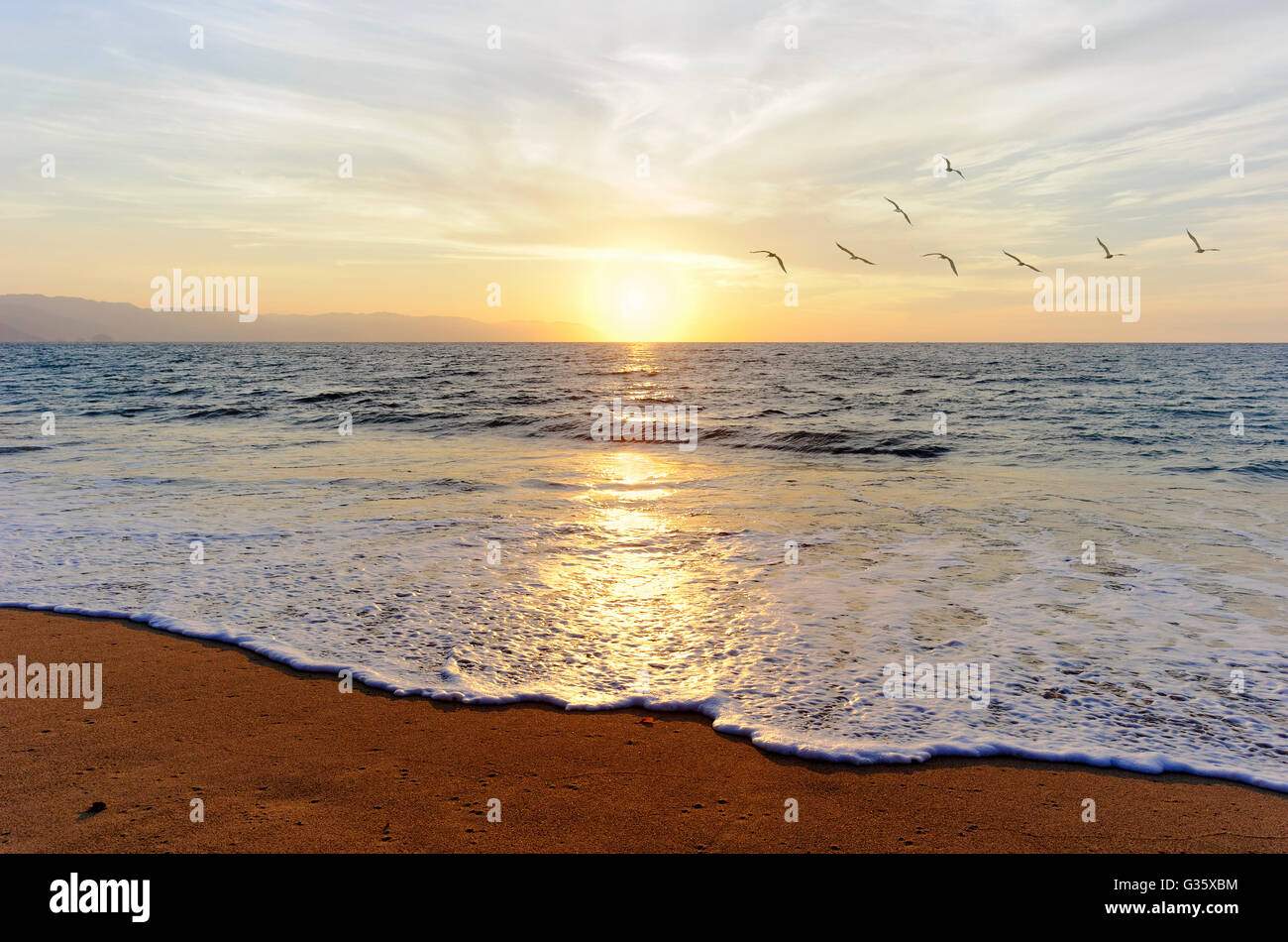 Ocean sunset birds un troupeau d'oiseaux volant vers le lumineux soleil paisible sur l'horizon de l'océan. Banque D'Images