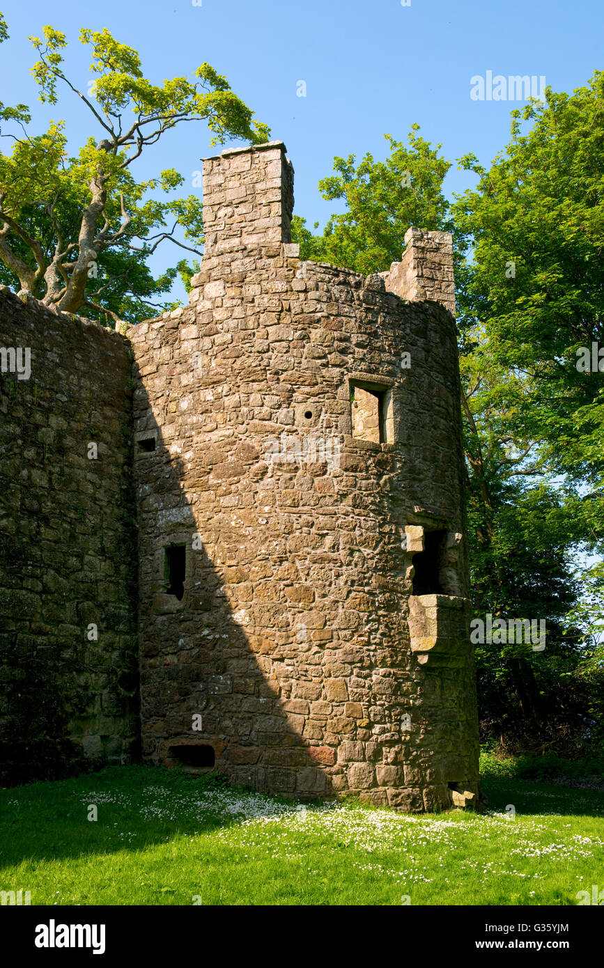 La tour de glassin et du sud-est. mur de château Le château de Loch Leven près de Kinross, Scotland. Banque D'Images