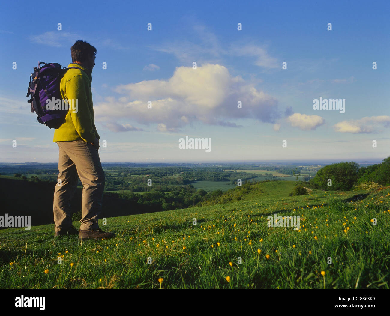 Rambler sur la Wye Downs. Kent. L'Angleterre. UK Banque D'Images