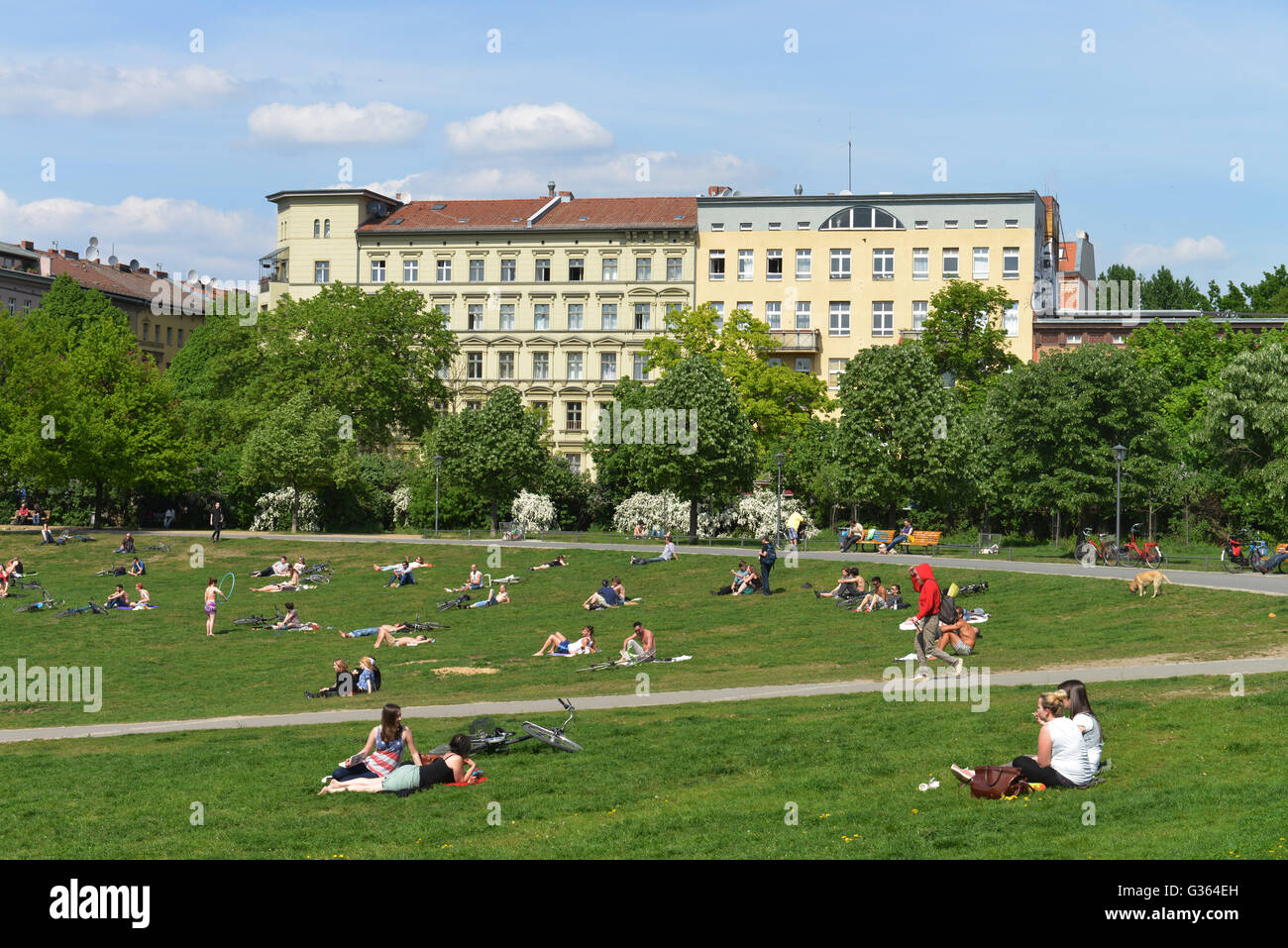 Parc Goerlitzer, Kreuzberg, Berlin, Deutschland / parc Görlitzer Banque D'Images