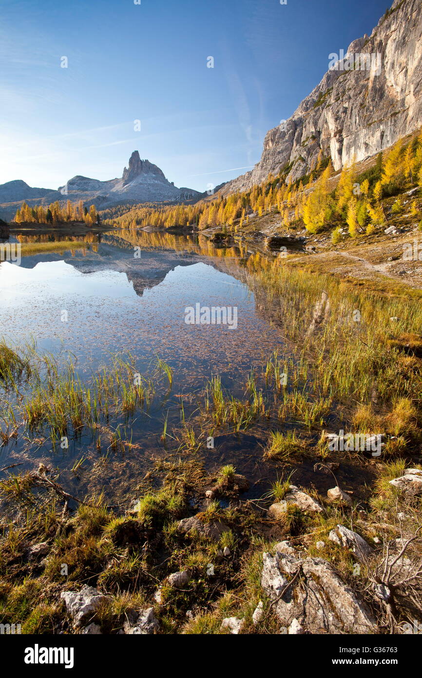 Le pic de Becco Mezzodi reflété dans le lac entouré de bois colorés de Russie à l'automne Europe Italie Vénétie Dolomites de Belluno Banque D'Images