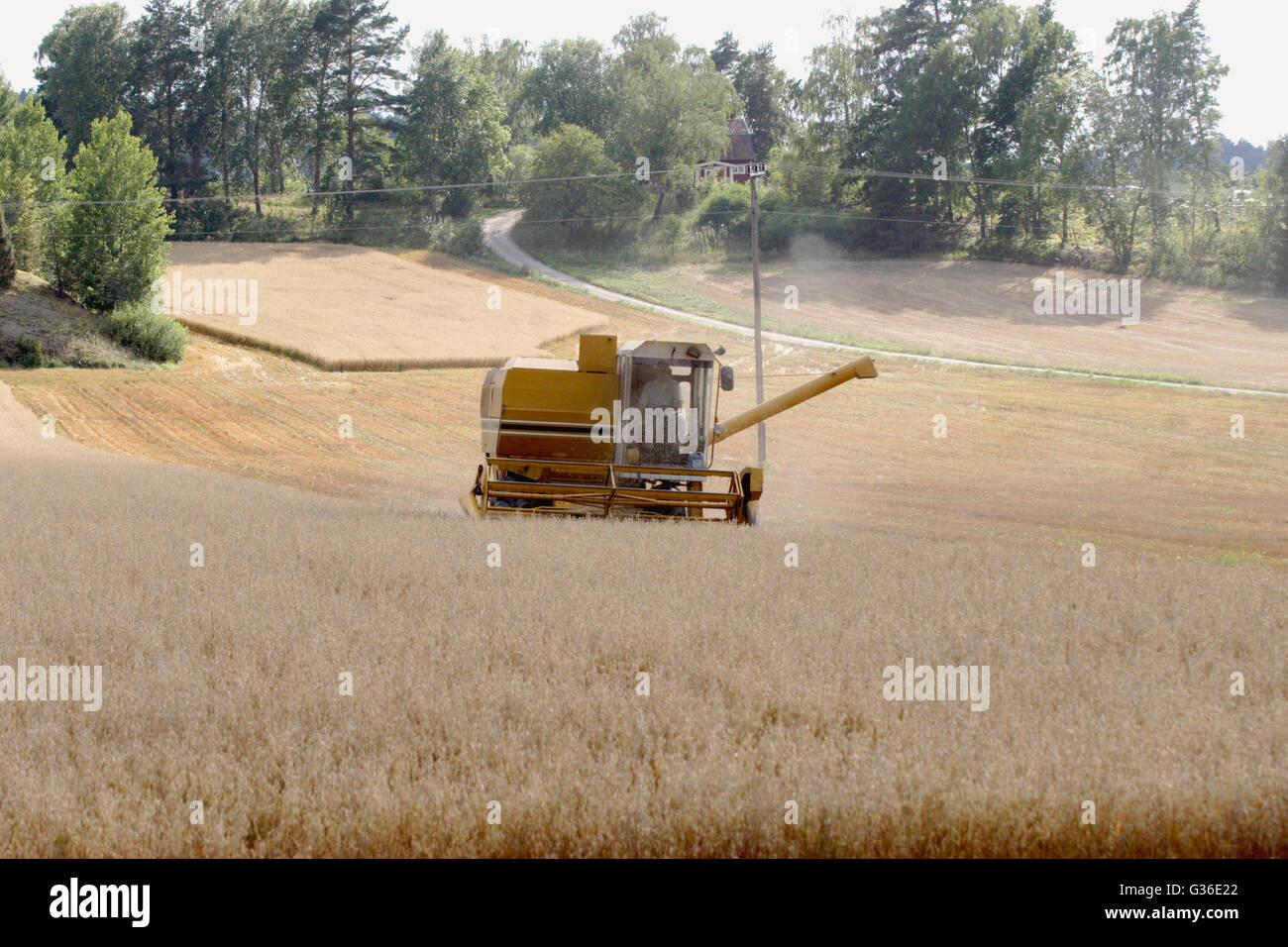 Combiner dans le travail Banque D'Images