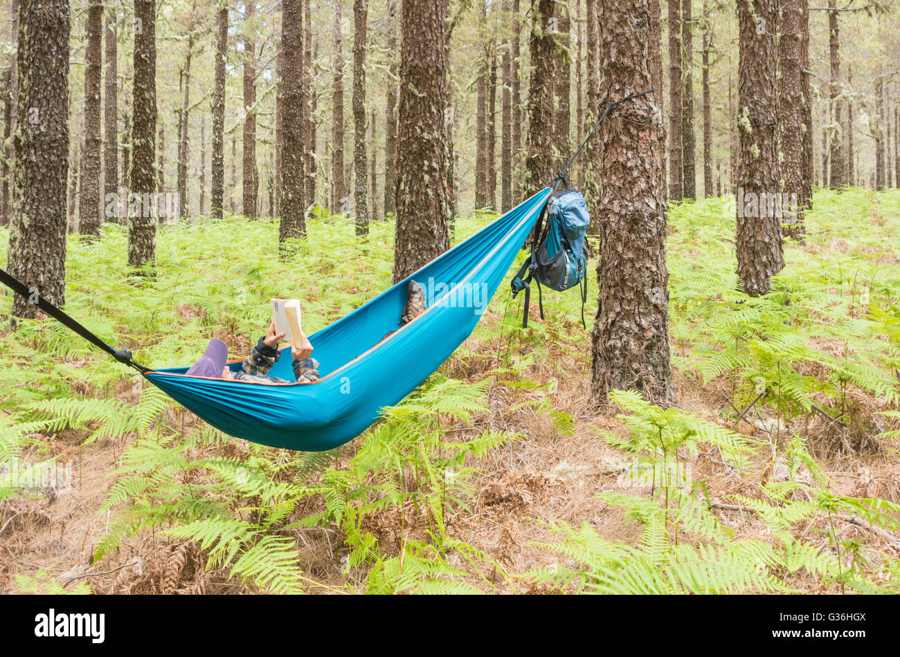 Mature female hiker reading a book in hamac en forêt de pins. Utilisations possibles : backpacker/retraite/Aventure/économies... Banque D'Images