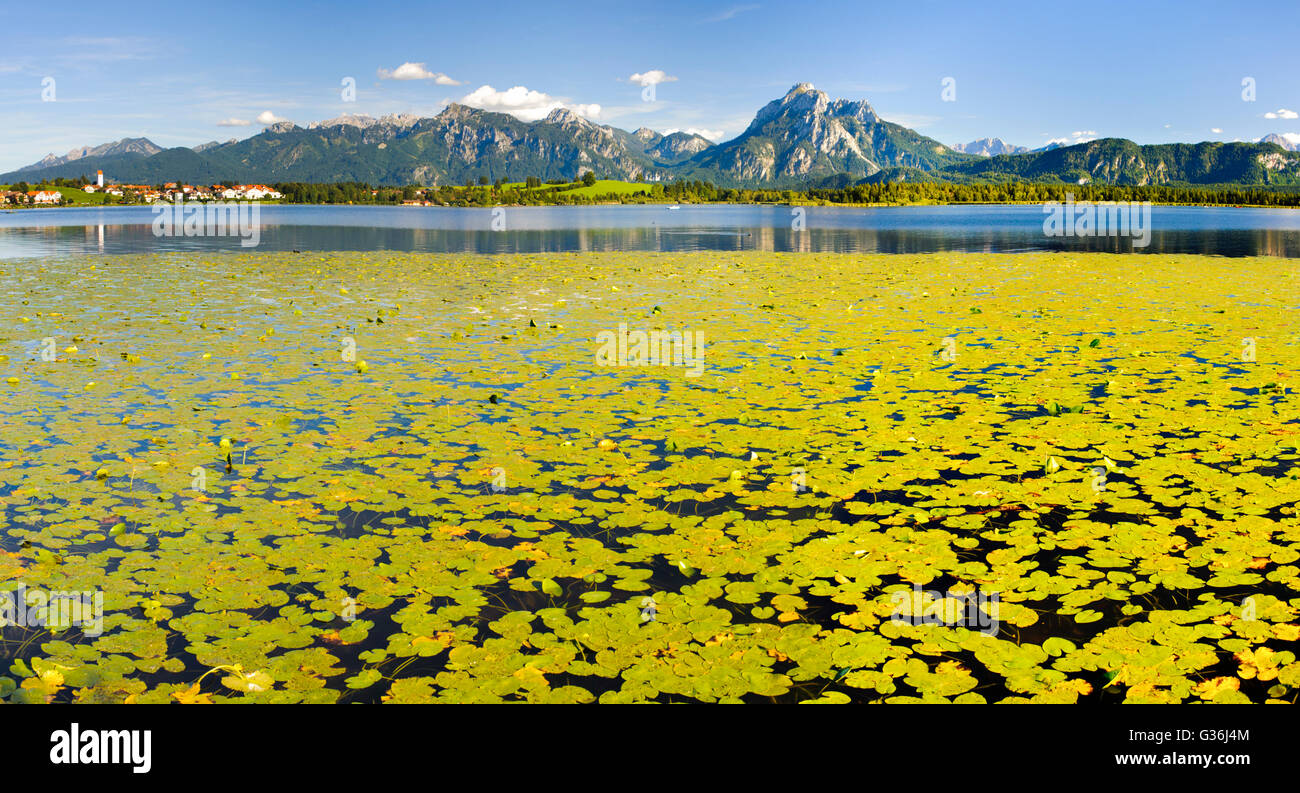Paysage panoramique avec alpes et lac de Bavière, Allemagne Banque D'Images