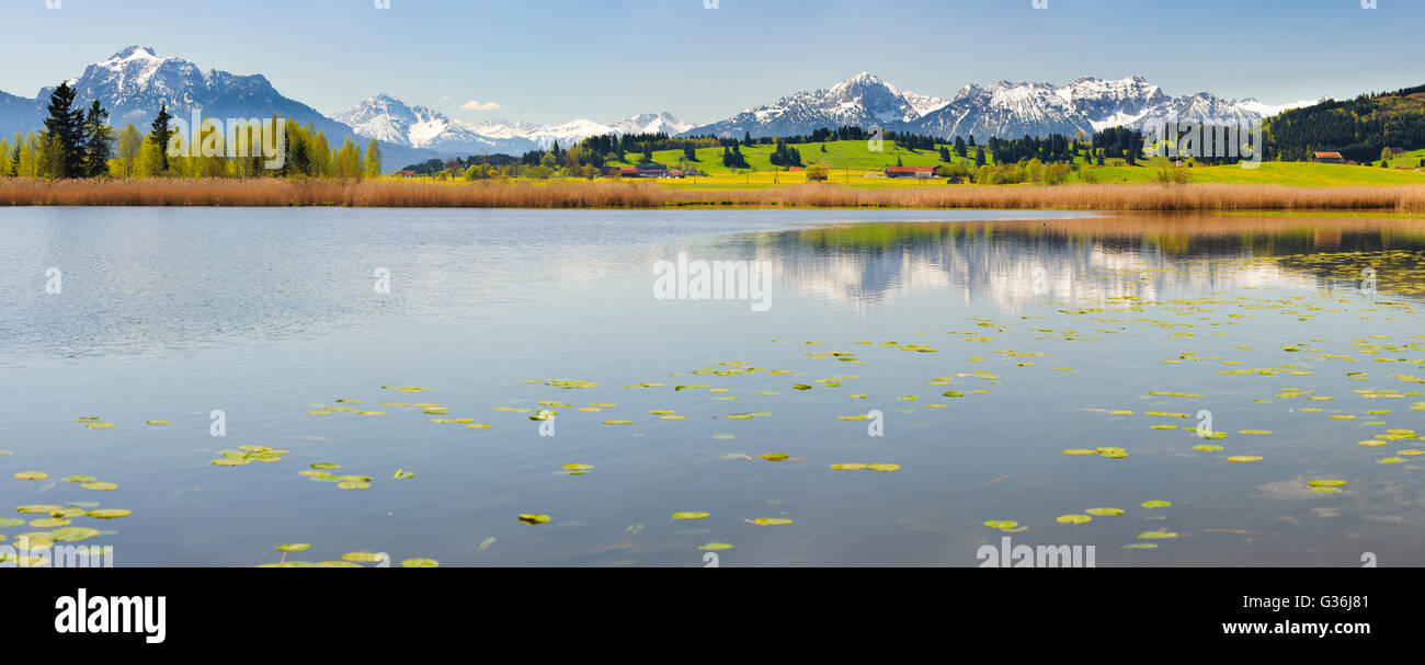 Paysage panoramique avec alpes et lac de Bavière, Allemagne Banque D'Images