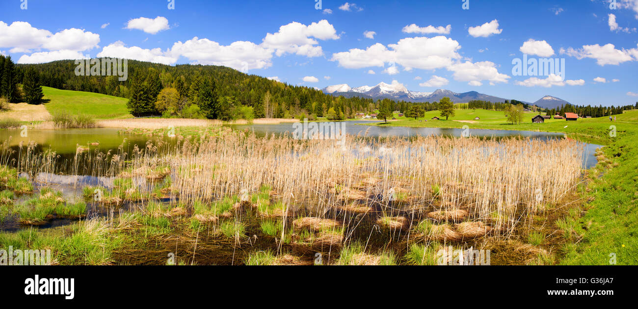 Paysage panoramique avec alpes et lac de Bavière, Allemagne Banque D'Images