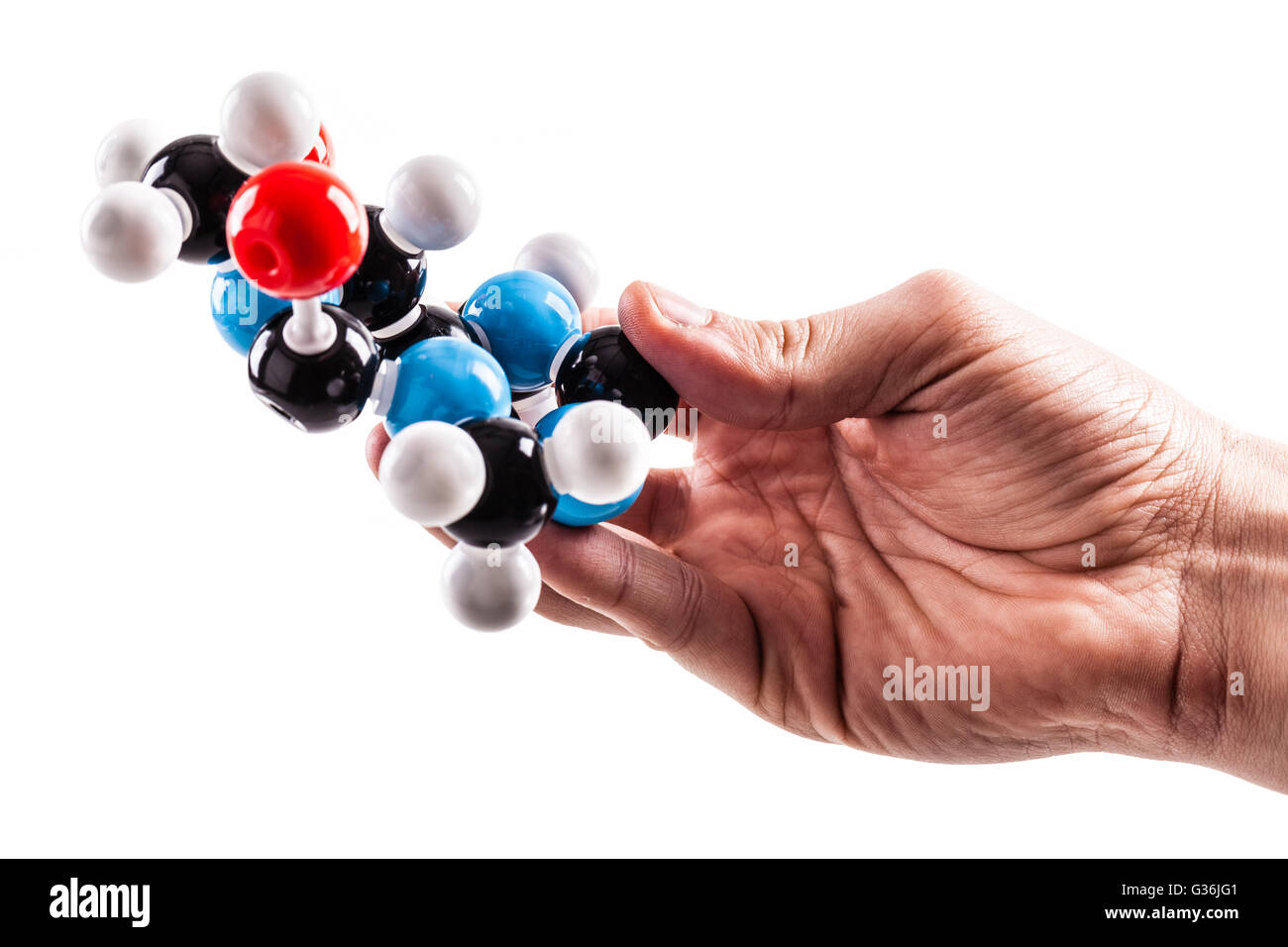 Un mâle main tenant un modèle de structure moléculaire chimique de la caféine isolé sur fond blanc Banque D'Images