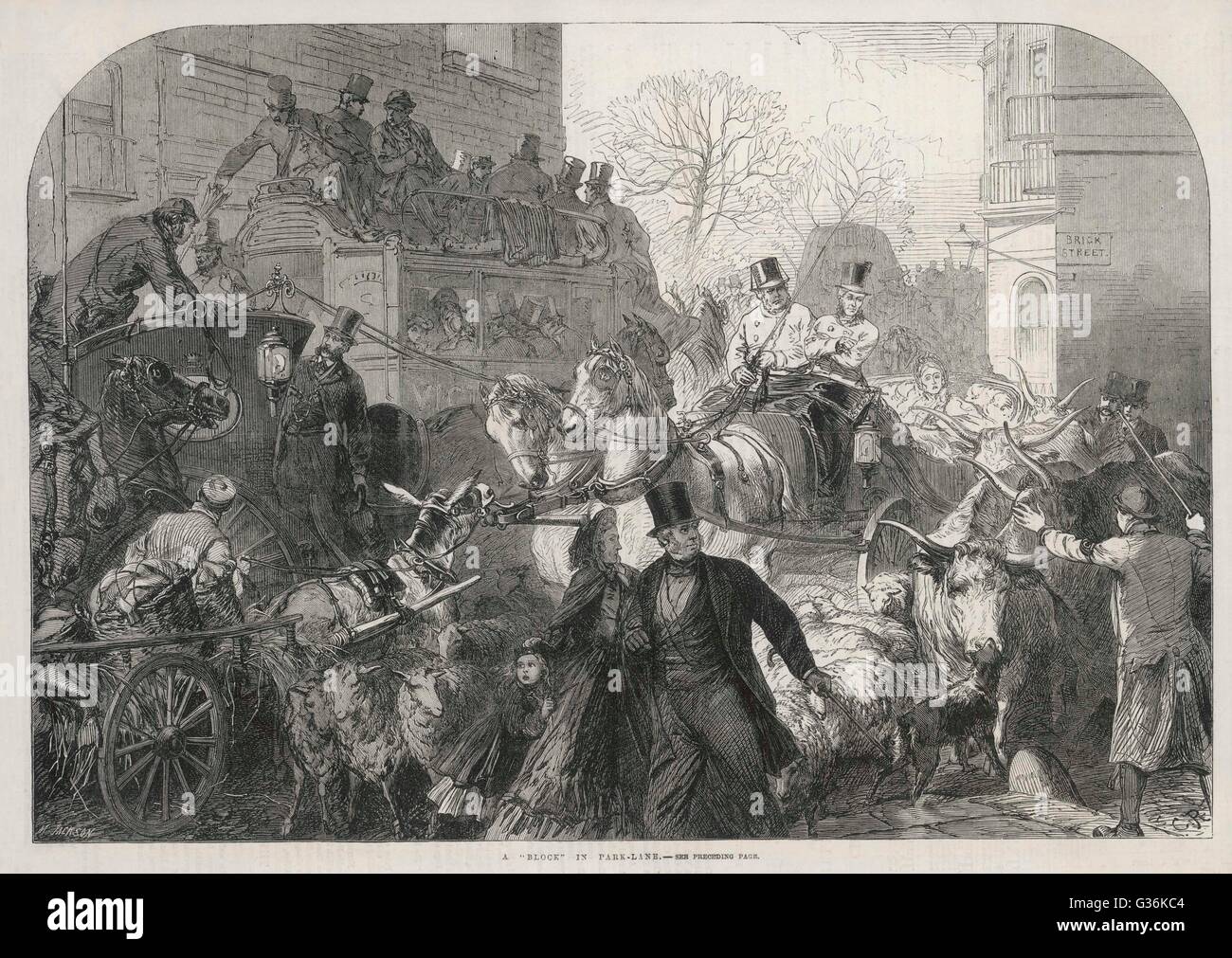 Un conducteur au volant les moutons et le bétail le long de Park Lane Londres ajoute à la confusion des piétons et véhicules à traction de chaque genre. Date : 1864 Banque D'Images