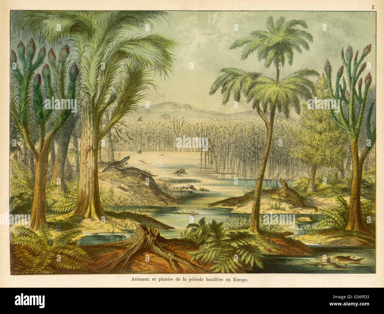 Animaux et plantes de l'ère du Carbonifère Banque D'Images