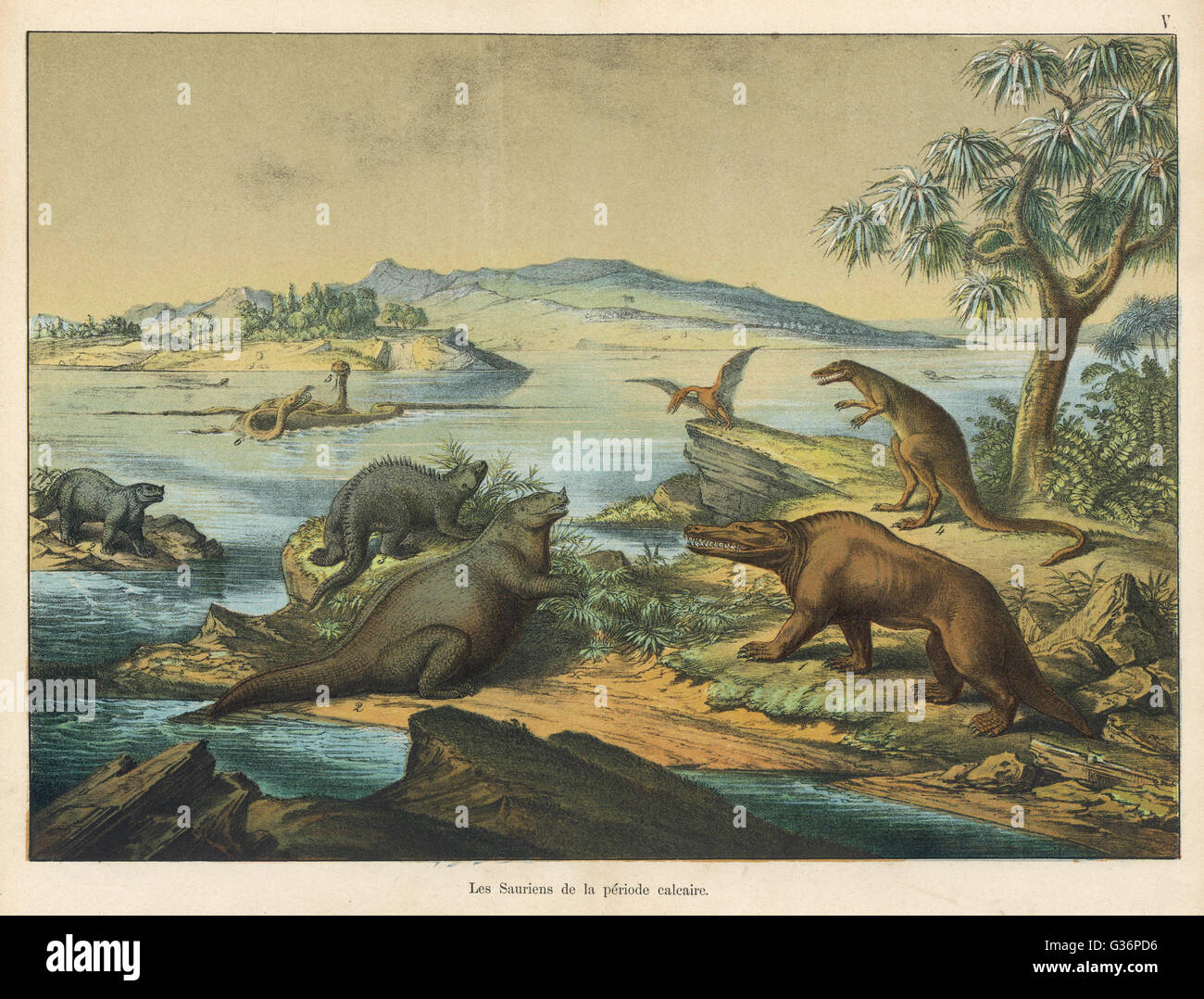 Animaux et plantes de l'ère post-Jurassique Banque D'Images