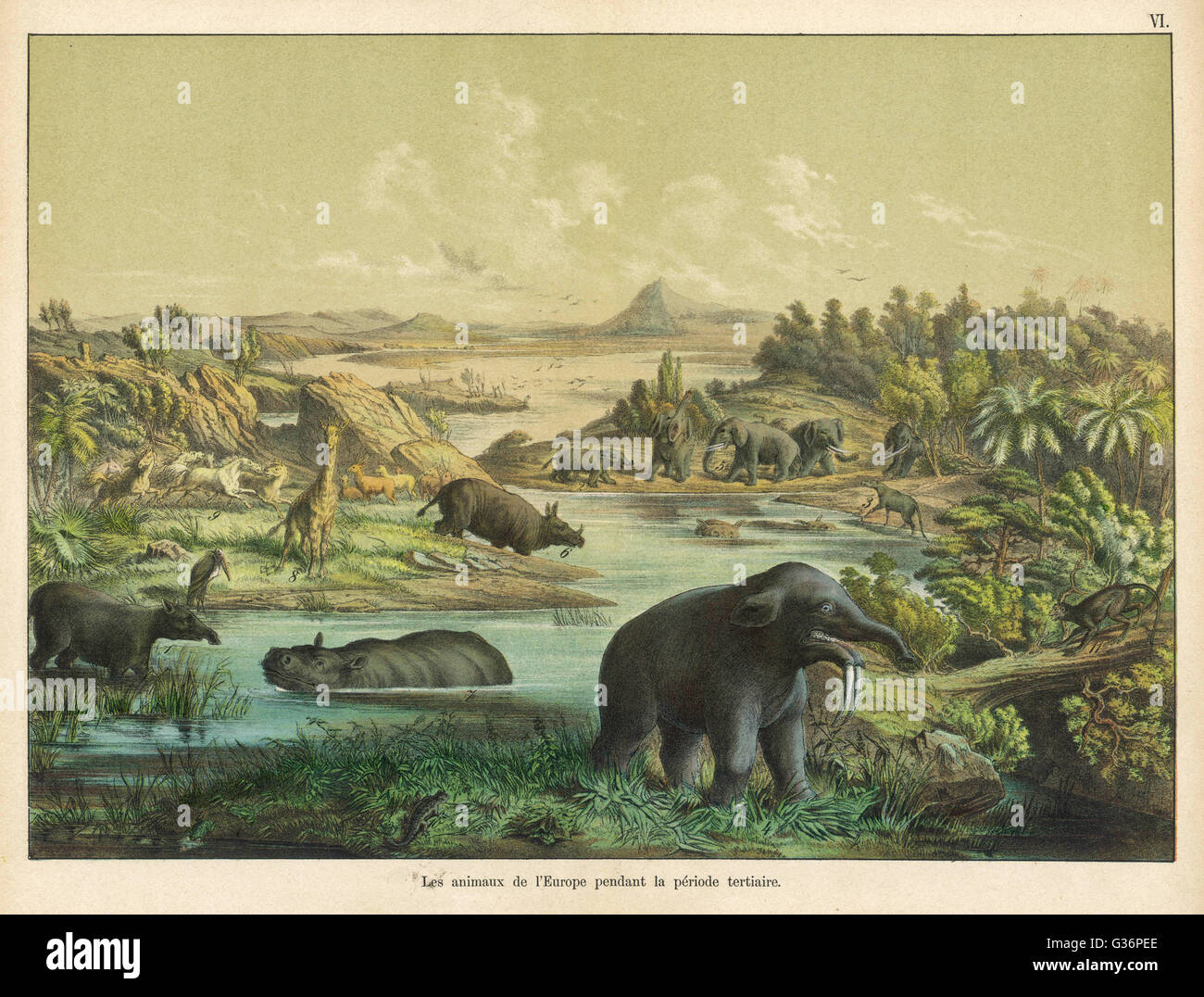 Prehistoric animals Banque de photographies et d’images à haute ...