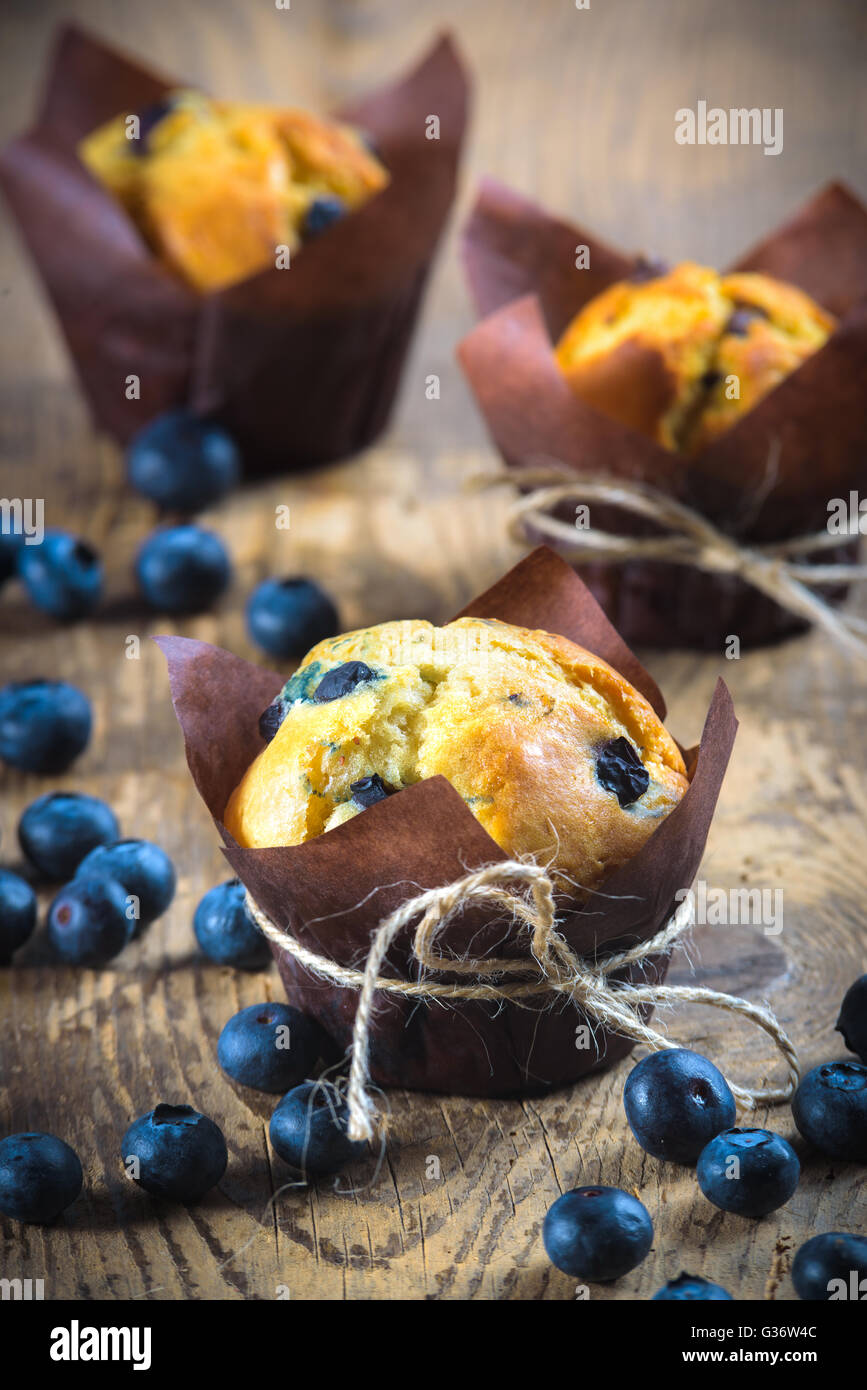 Délicieux muffins aux bleuets Banque D'Images