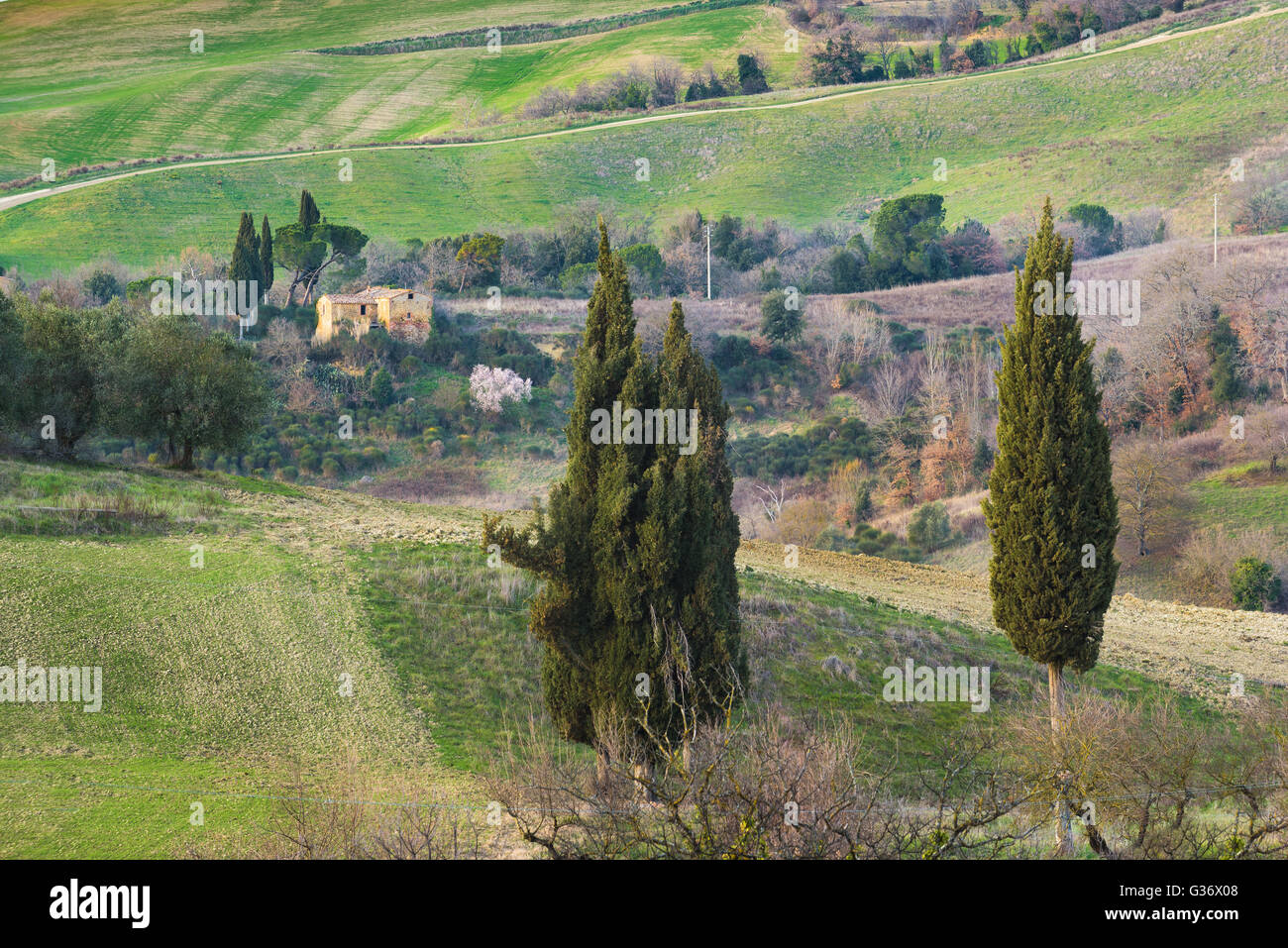 Les champs et les forêts dans le ressort de la Toscane. Banque D'Images