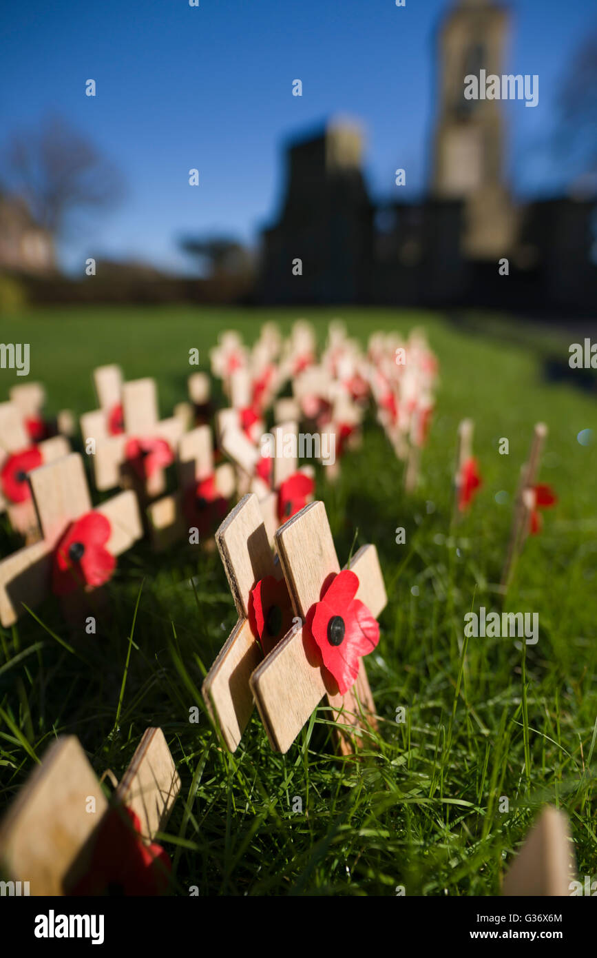 Souvenir coquelicots sur croix de bois à un monument de guerre dans la région de Kelso, Ecosse Banque D'Images