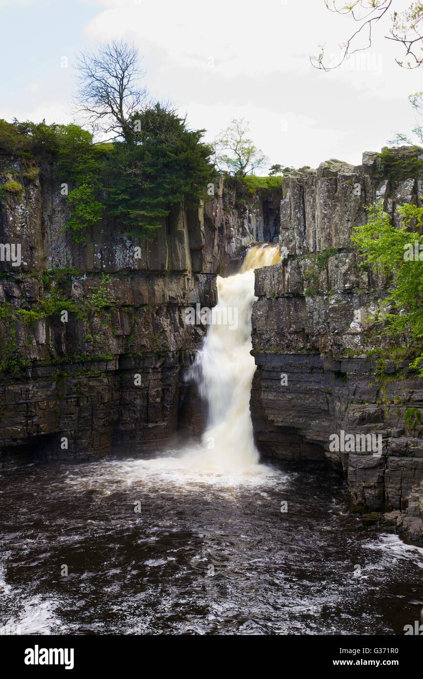 Force haute chute d'eau, fleuve Tees, forêt-in-Teesdale, Durham Dales, Middleton-in-Teesdale, County Durham, England, UK. Banque D'Images