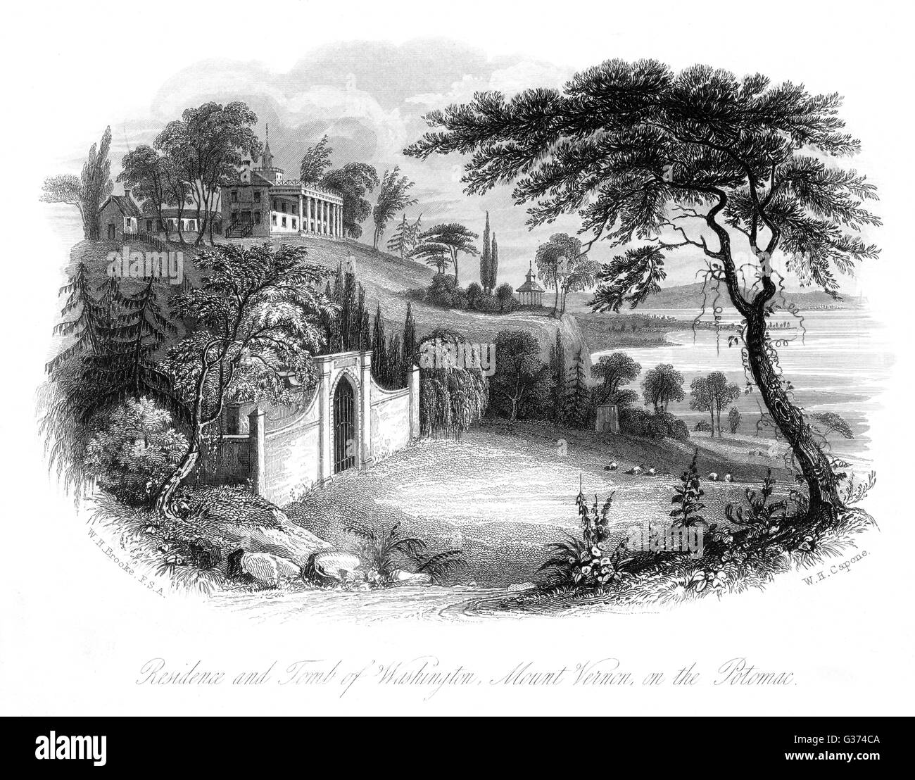 MT VERNON ET TOMBEAU Banque D'Images