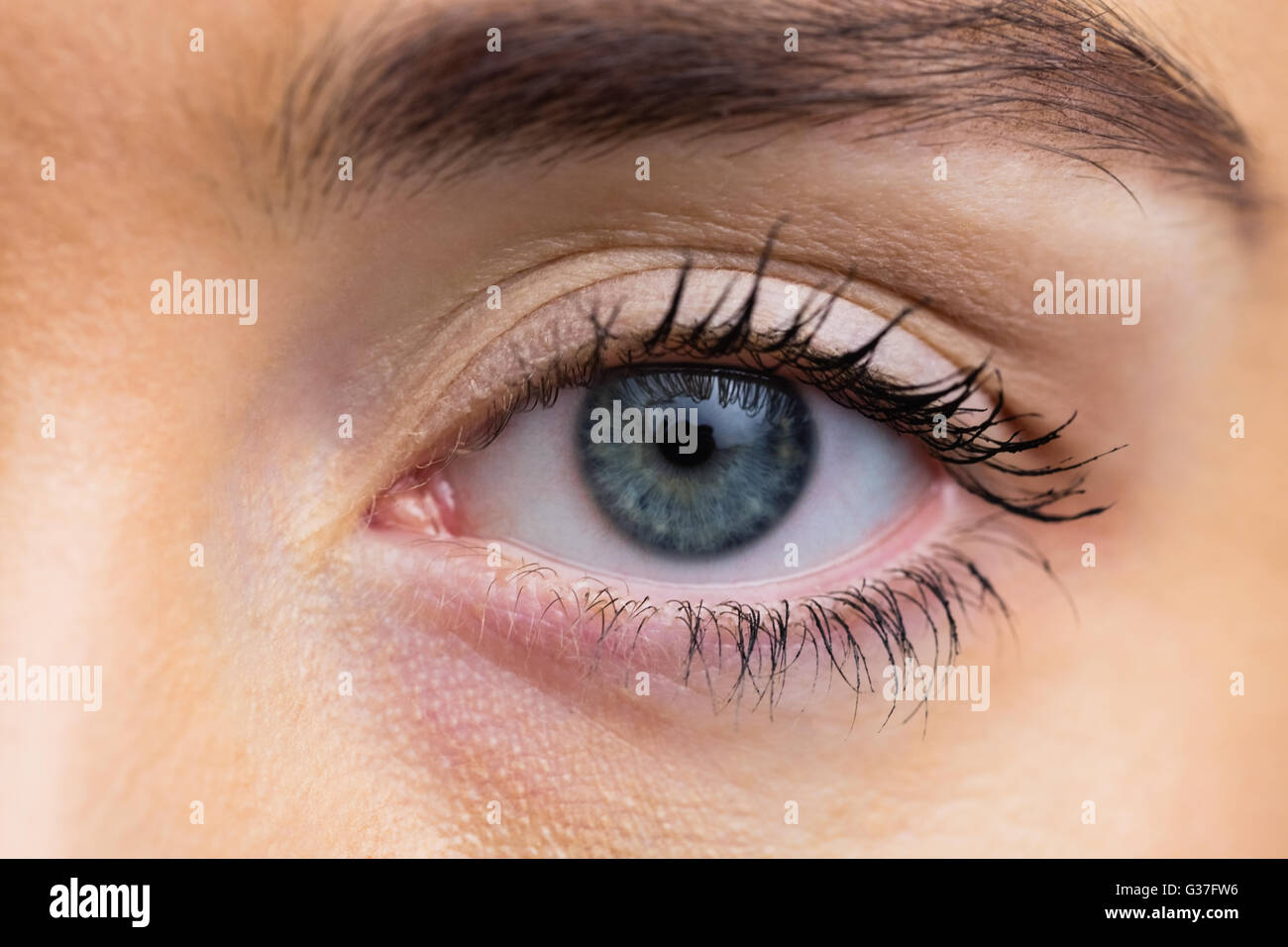 Se concentrer sur les yeux de womans Banque D'Images
