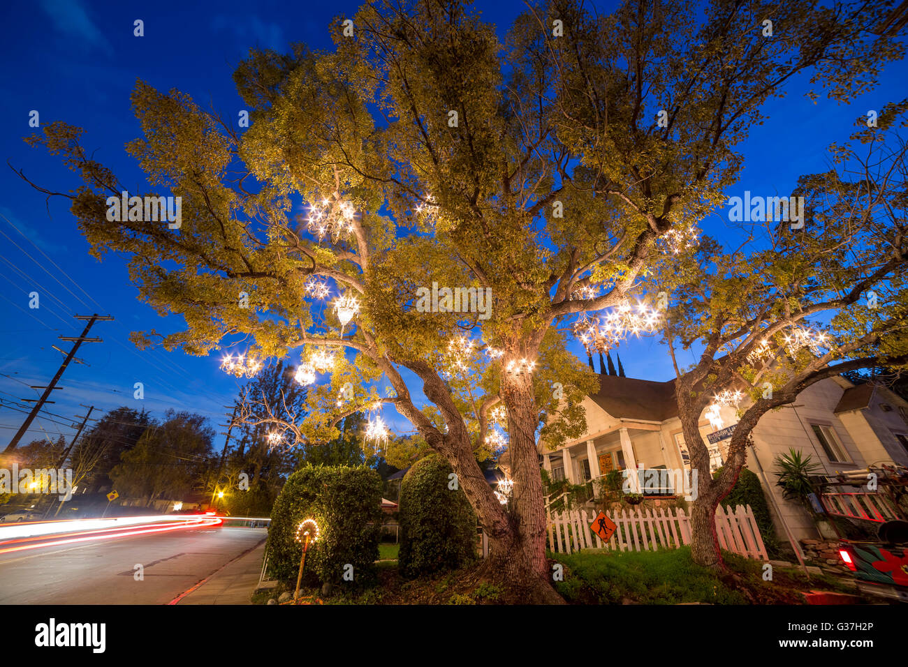 Déc 19, Los Angeles : le fameux arbre lustre le Déc 19, 2014 À Silver Lake, Los Angeles Banque D'Images