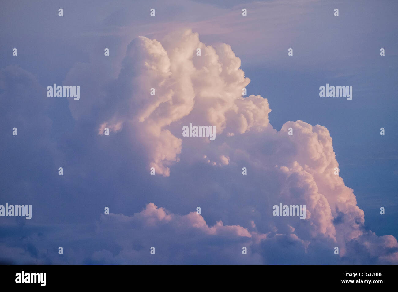 Un nuage Cumulus bourgeonnant dans ciel du soir sur Oklahoma City, Oklahoma, USA. Banque D'Images