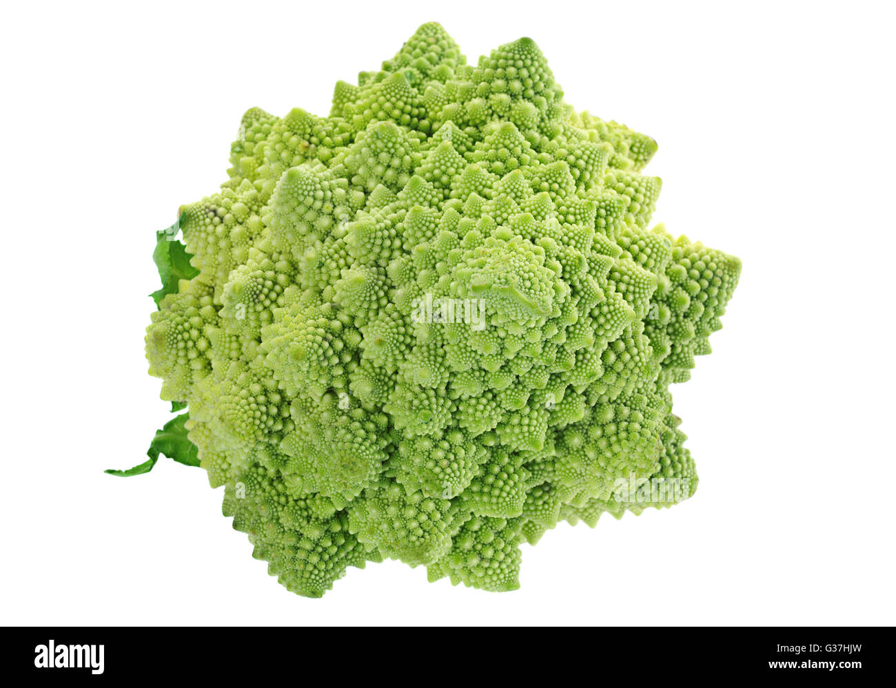 Le chou Romanesco iolsted sur fond blanc Banque D'Images