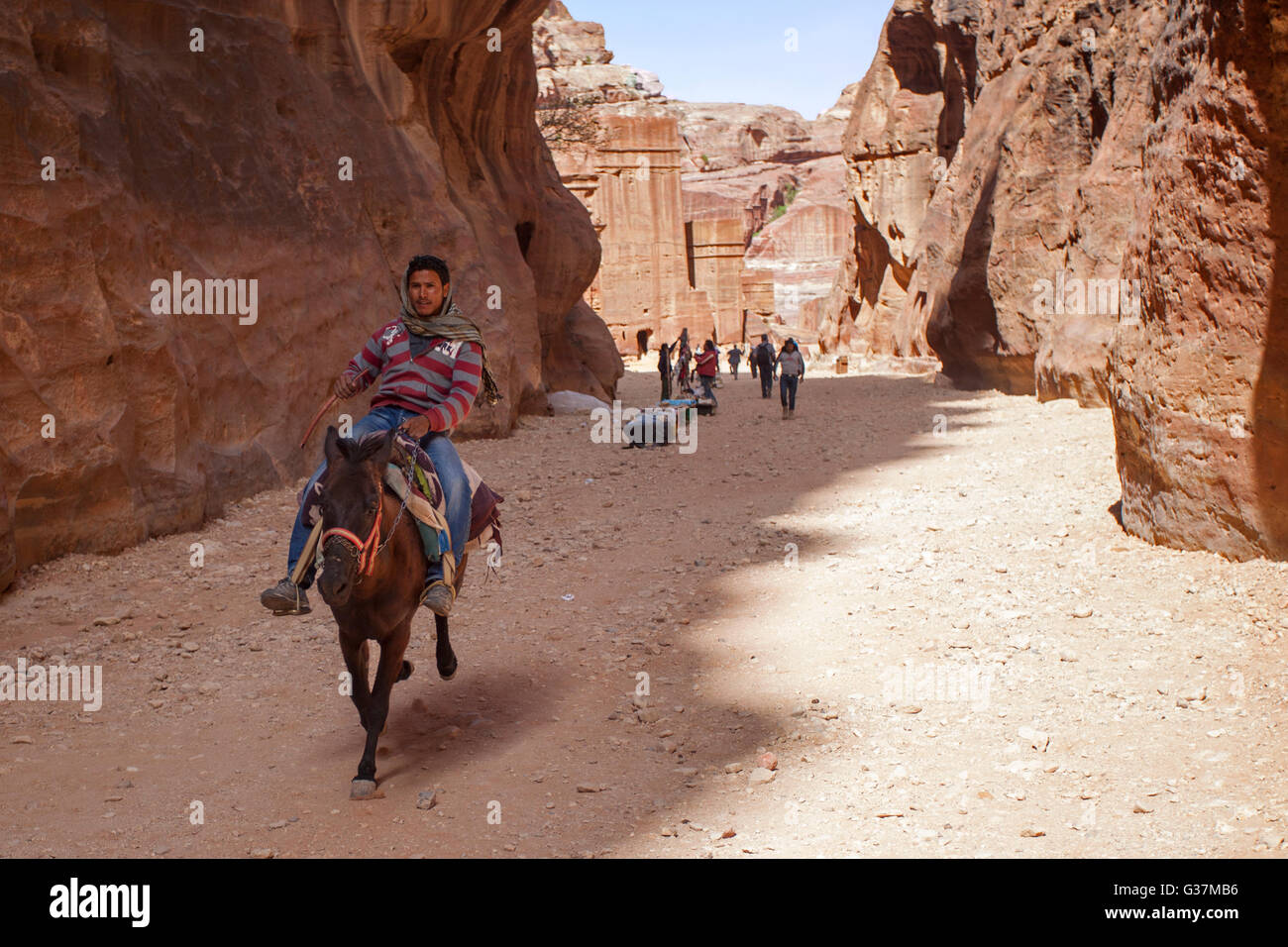 Un jeune bédouin qui fait un âne à Pétra, également connu sous le nom de « ville rose », en Jordanie, au Moyen-Orient. Banque D'Images