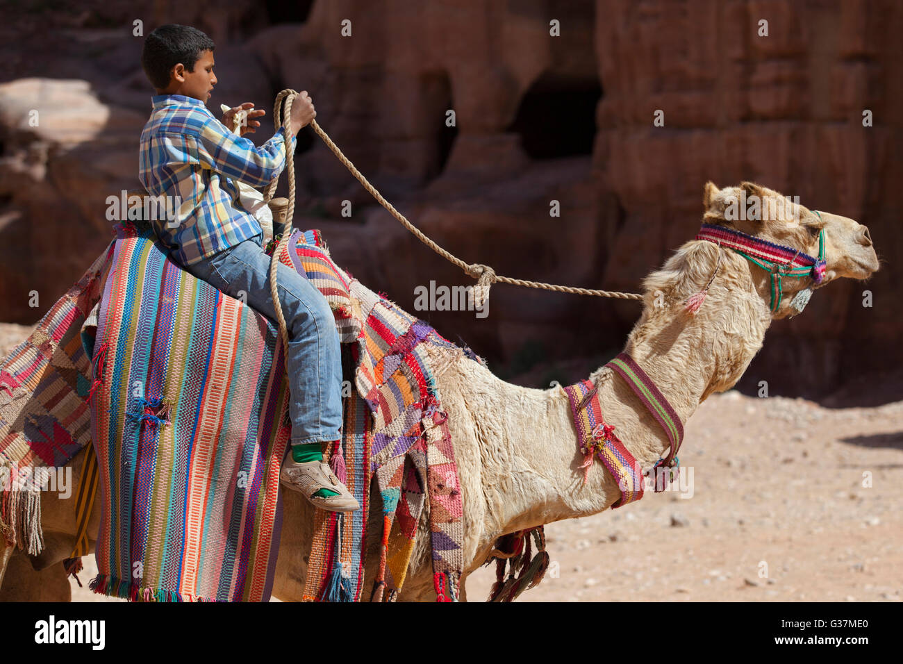 Un jeune bédouin à cheval sur un dromadaire à Pétra, également connu sous le nom de « ville rose », Jordanie, Moyen-Orient. Banque D'Images
