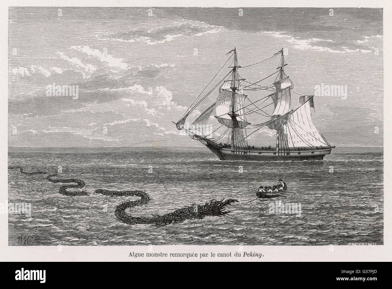 Folklore - serpent de mer Banque D'Images