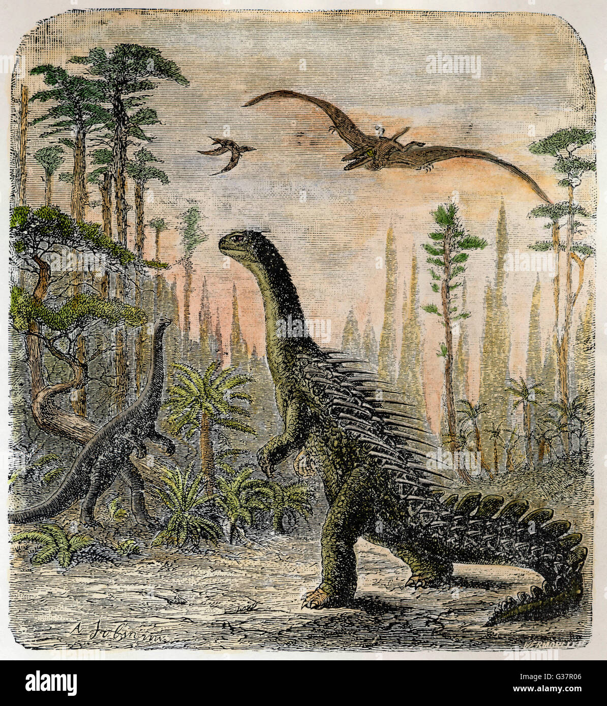 Les dinosaures du Jurassique : un stégosaure, avec un Compsognathus dans l'arrière-plan Banque D'Images