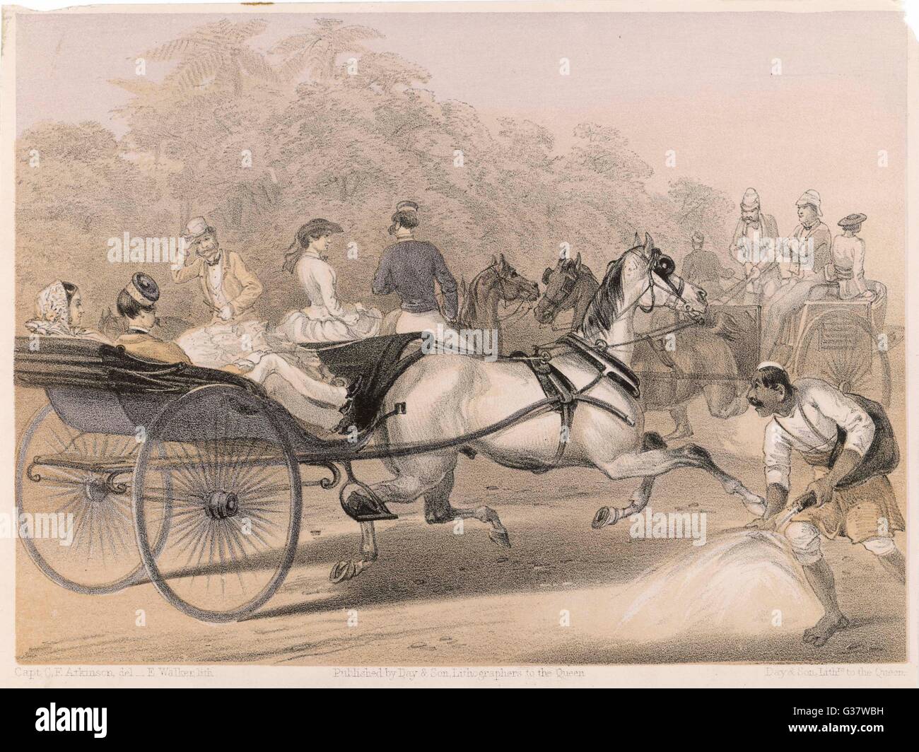 Cheval et calèche en Inde britannique, 1860 Banque D'Images