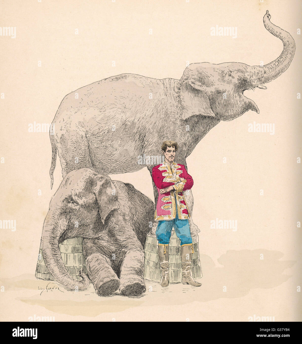 Les éléphants de cirque et leur entraîneur Banque D'Images