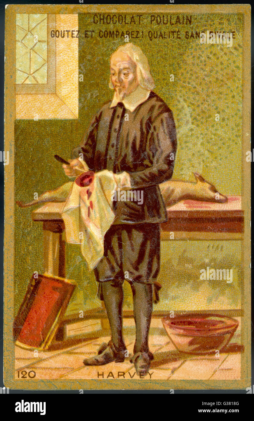WILLIAM HARVEY anatomiste, de découvrir la circulation du sang Date : 1578-1657 Banque D'Images