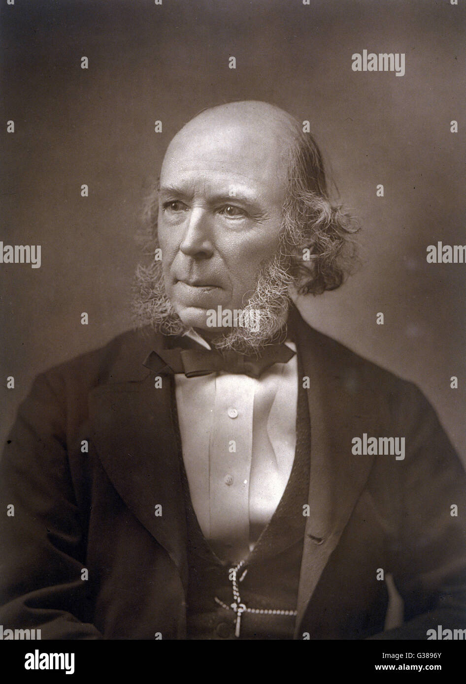 HERBERT SPENCER philosophe sociologue &AMP ; Date : 1820 - 1903 Banque D'Images