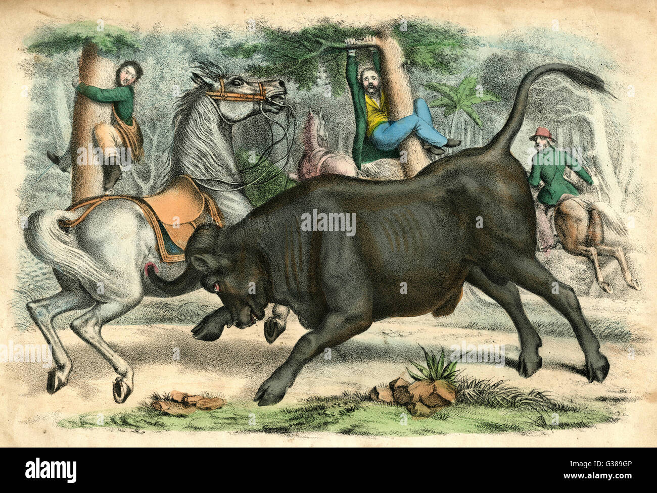 BUFALO ET CHASSEURS C1845 Banque D'Images