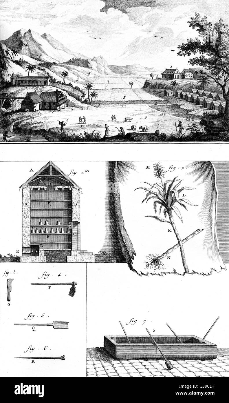 Montrant la fonction et la disposition d'une plantation de sucre des Antilles Françaises Date : vers 1760 Banque D'Images